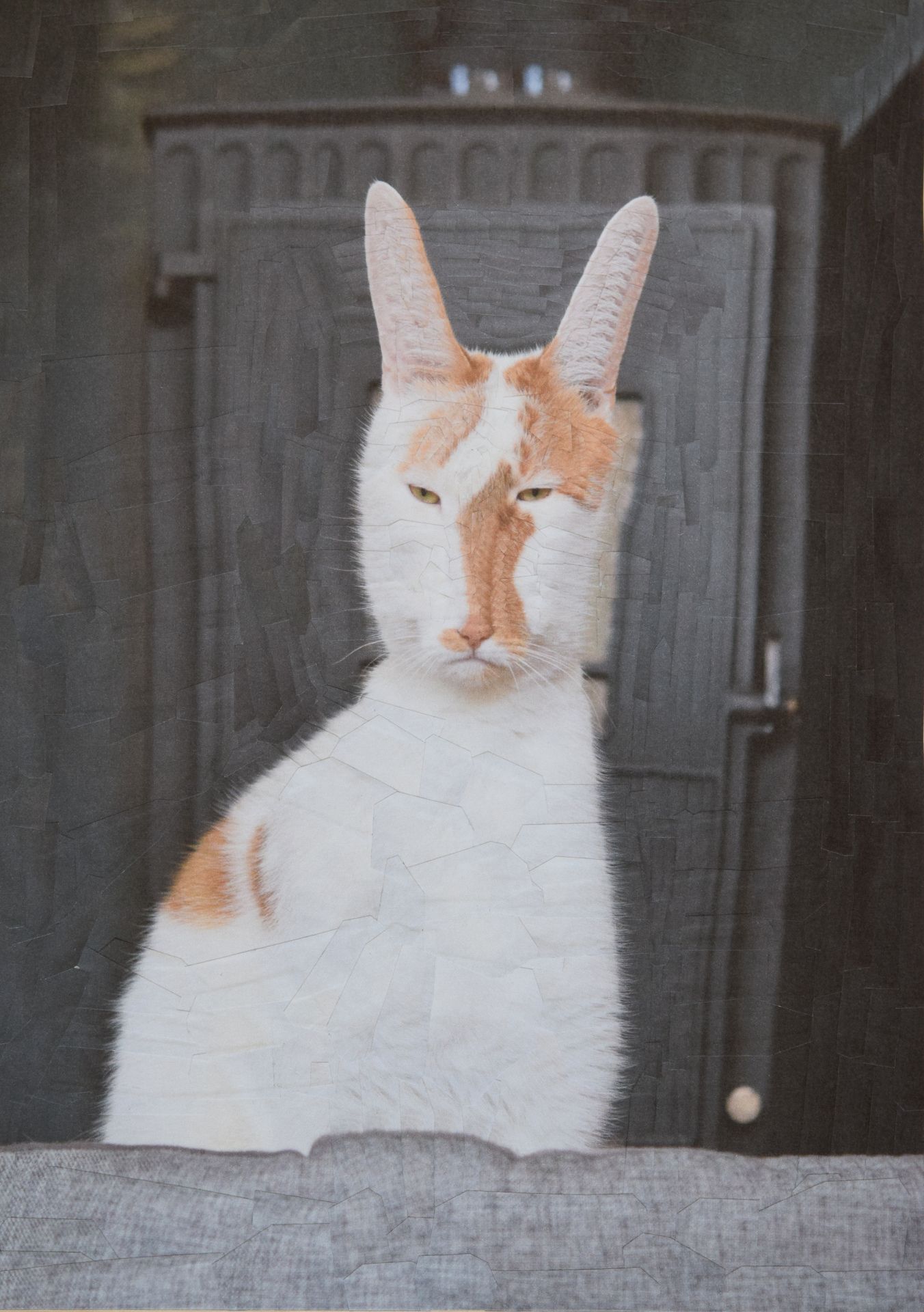 Charlie III, 2018, 8.27 X 11.69 inches