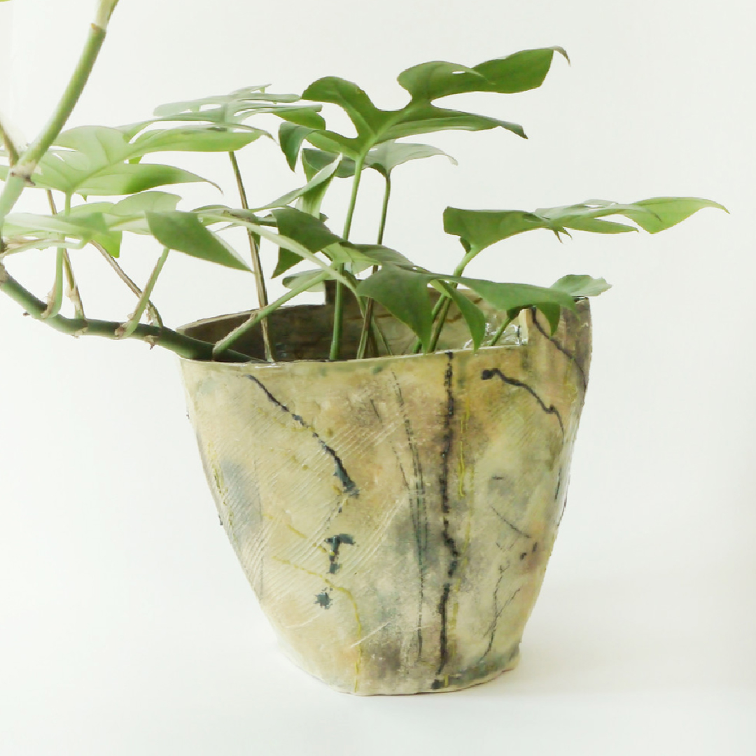 [Foams Garden]의 식물 식재 화분 ‘Greeny Green’   ©김성혜