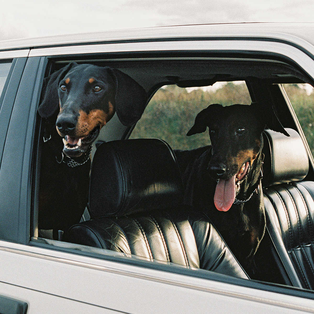 Everything U Need EP