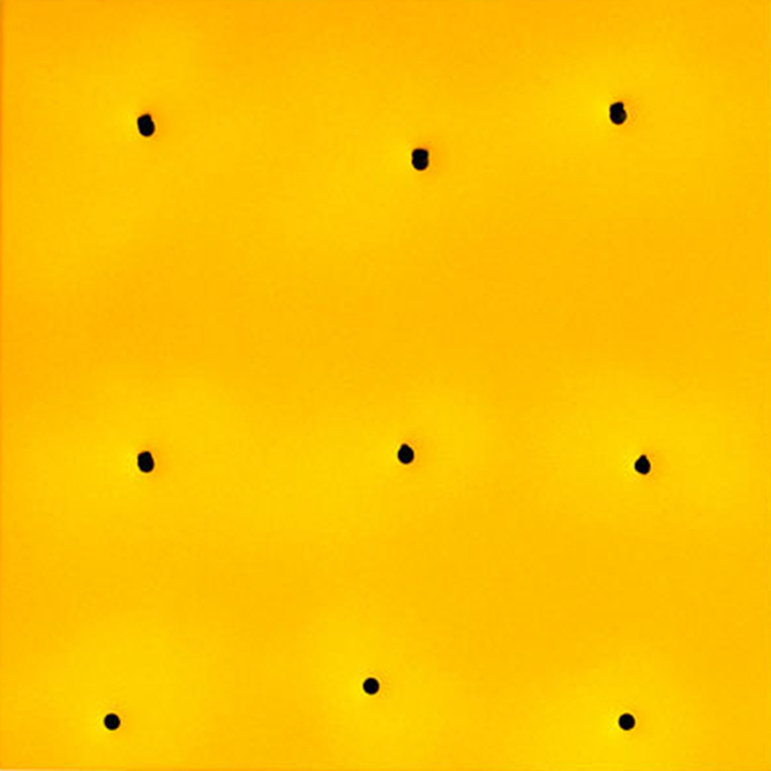 kleifontanano #23, 2003, oil on aluminum with gunshot, 22x22 in