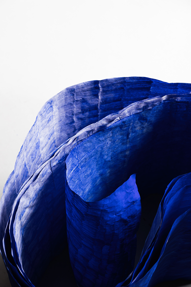 Suvi Sysi, Blue Companion, 2020