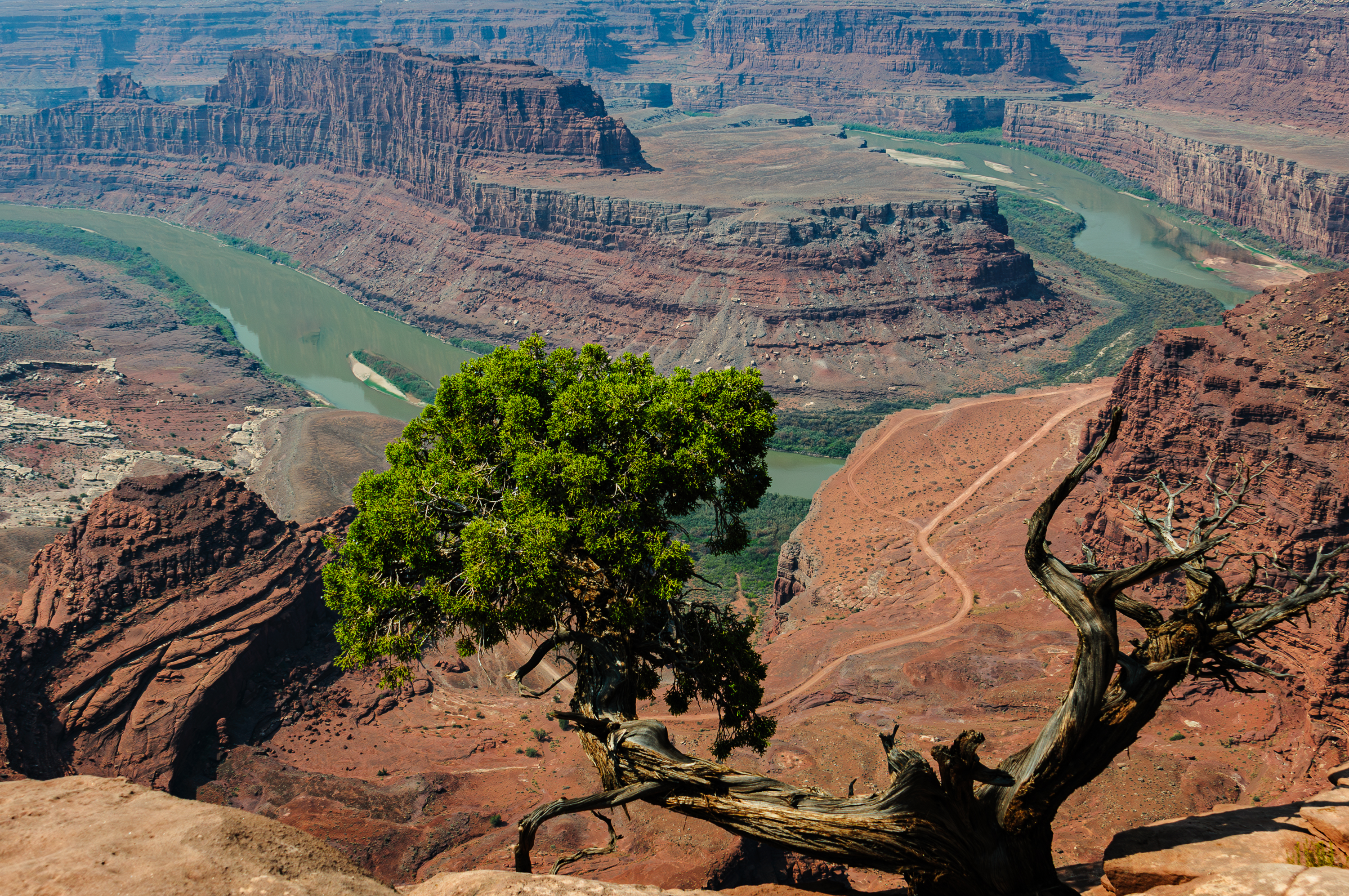 Canyonlands National Park. Horse Point (Thelma et Louise). 1830 m, on surplombe les lacets du Colorado qui serpente 600m plus bas.