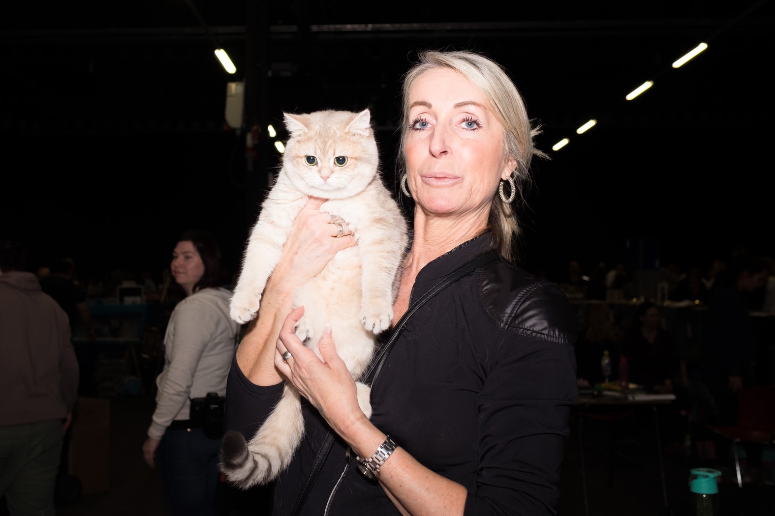 Foto's van onbekommerde poezen op de allergrootste poezenshow van Nederland