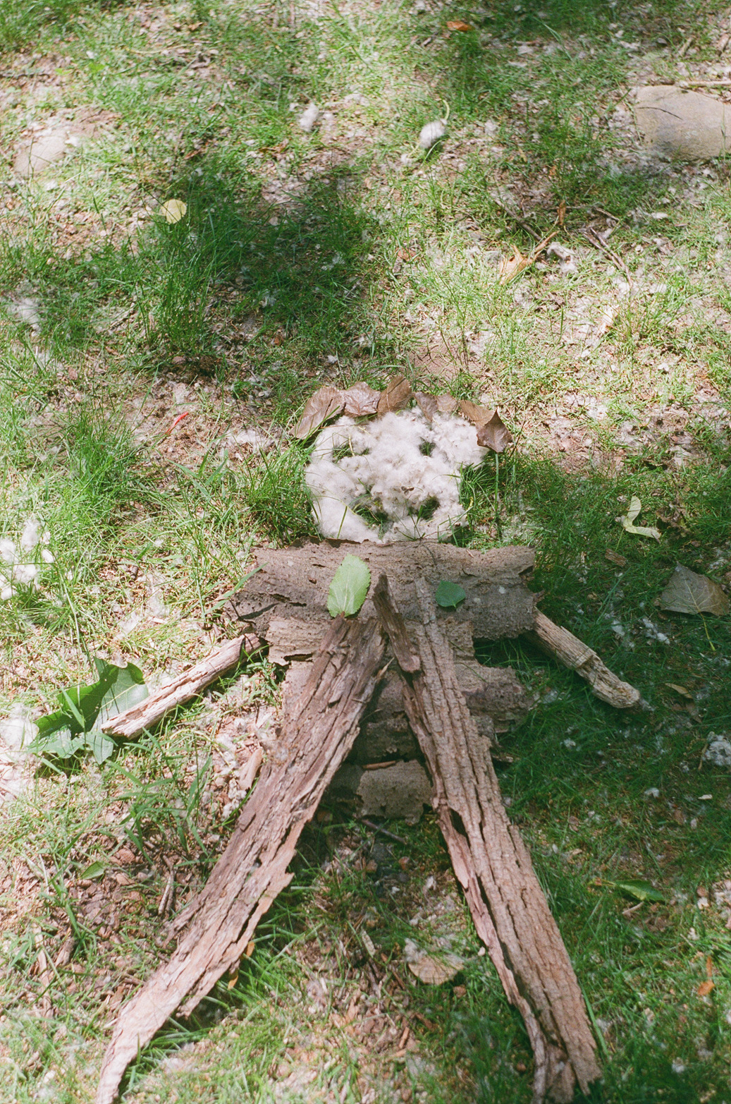 Some photos I took on the Zenit 14 from a summer trip to MA and NY