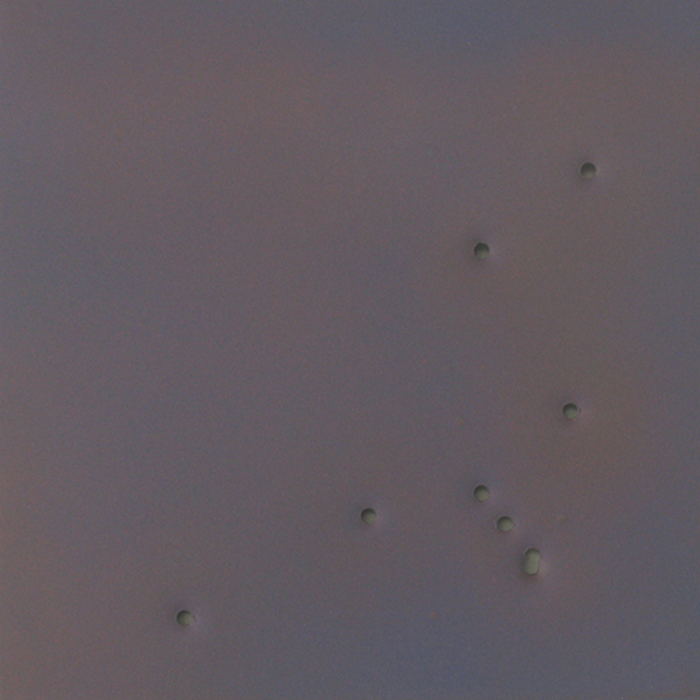 kleifontanano #27, 2003, oil on aluminum with gunshot, 22x22 in