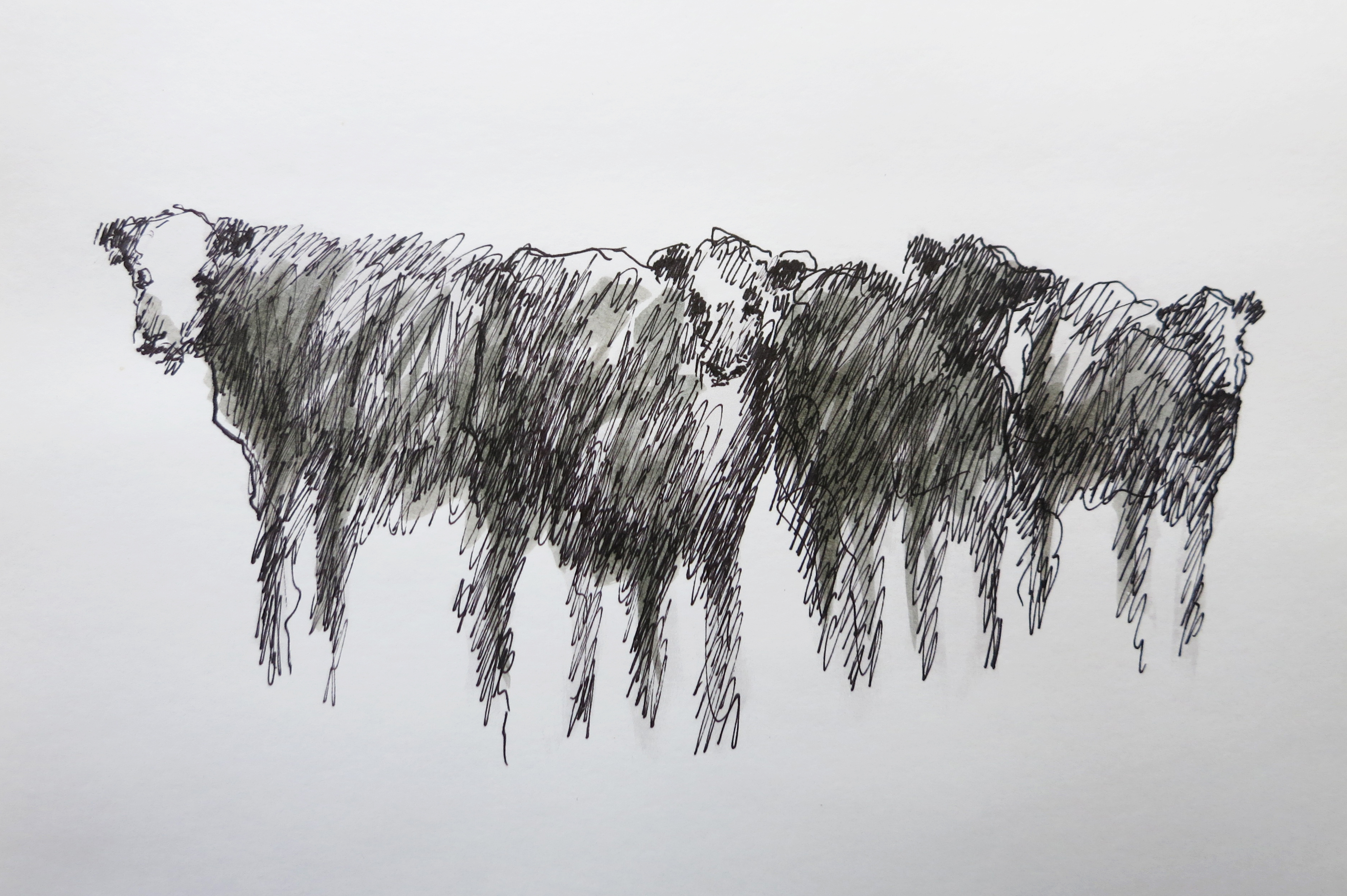  Ink on paper &ndash; 8&rdquo; x 11&rdquo; 