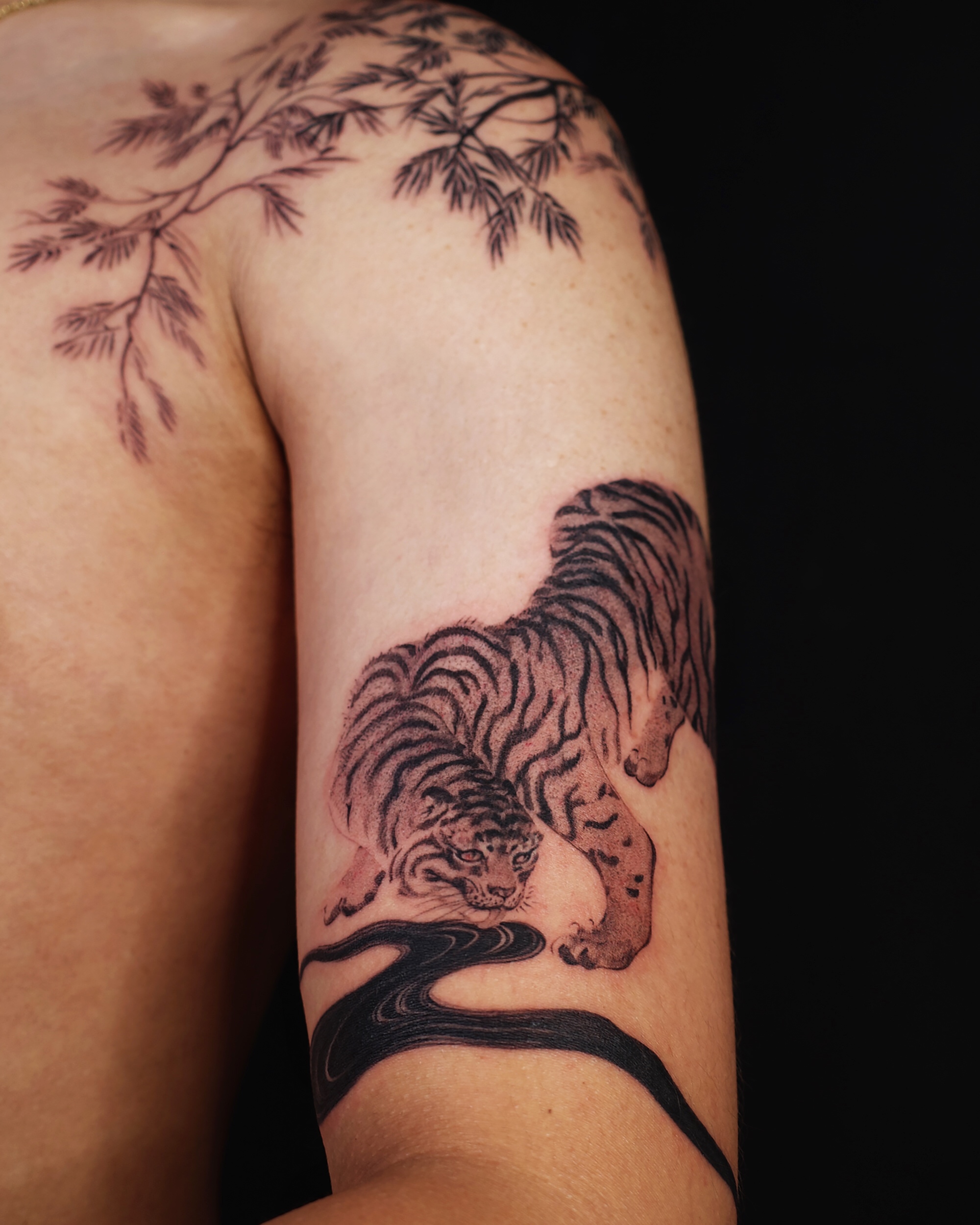 Crescent Moon and Tiger
