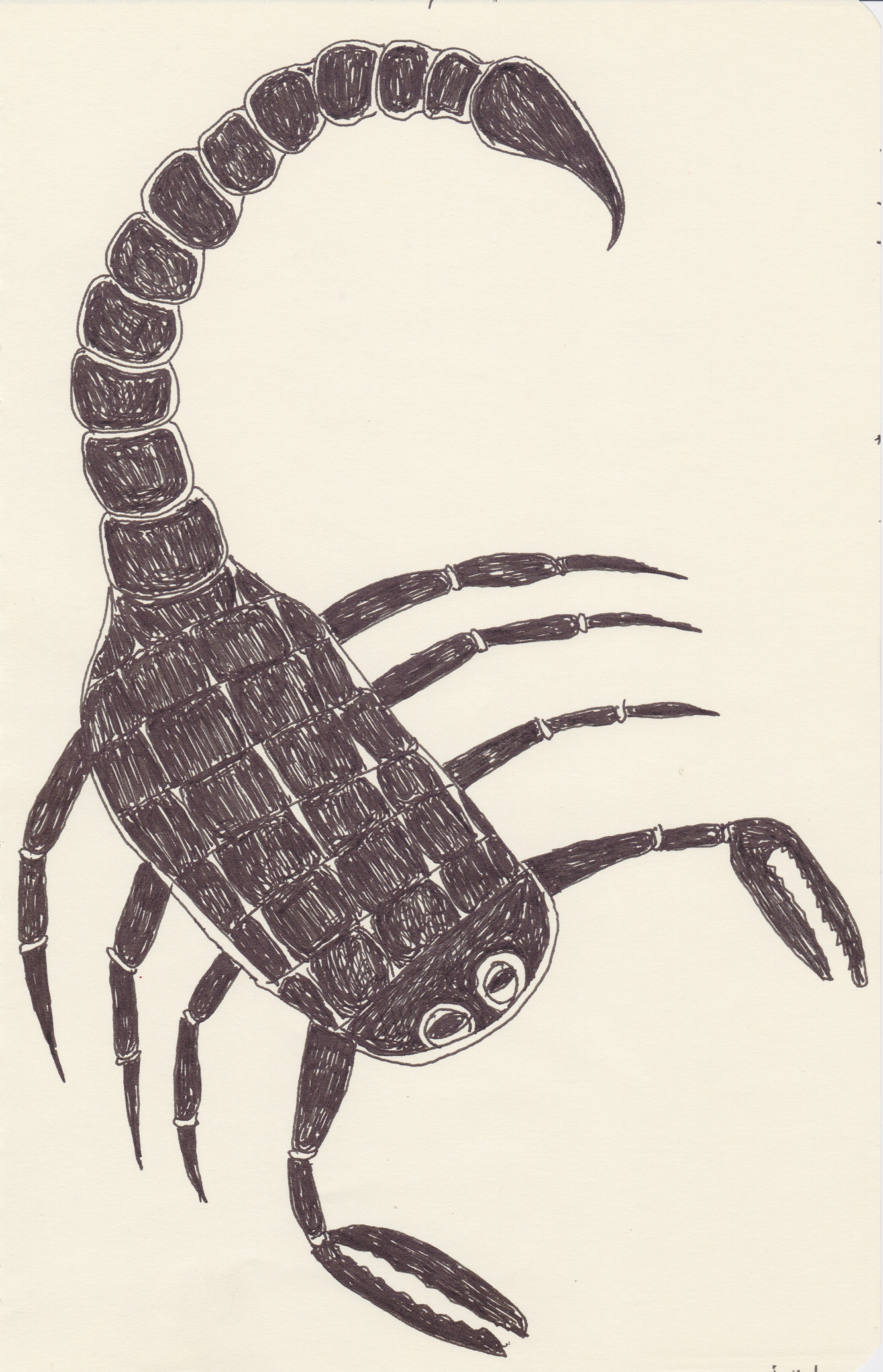 Adrian Fortuin, "PH-11", 2021, pen and pencil on paper, 20,8 x 13,3 cm
