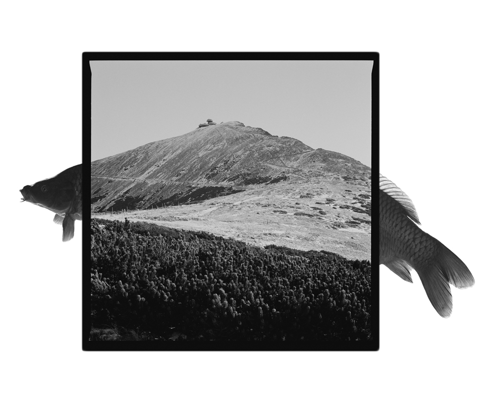 1995 02Sněžka – 1602 metres above sea levelSněžka – 1602 metrov nad morom