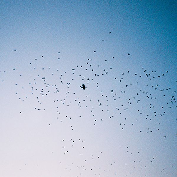 transience #46 with Lou Drago and Ligovskoï – Parhelia