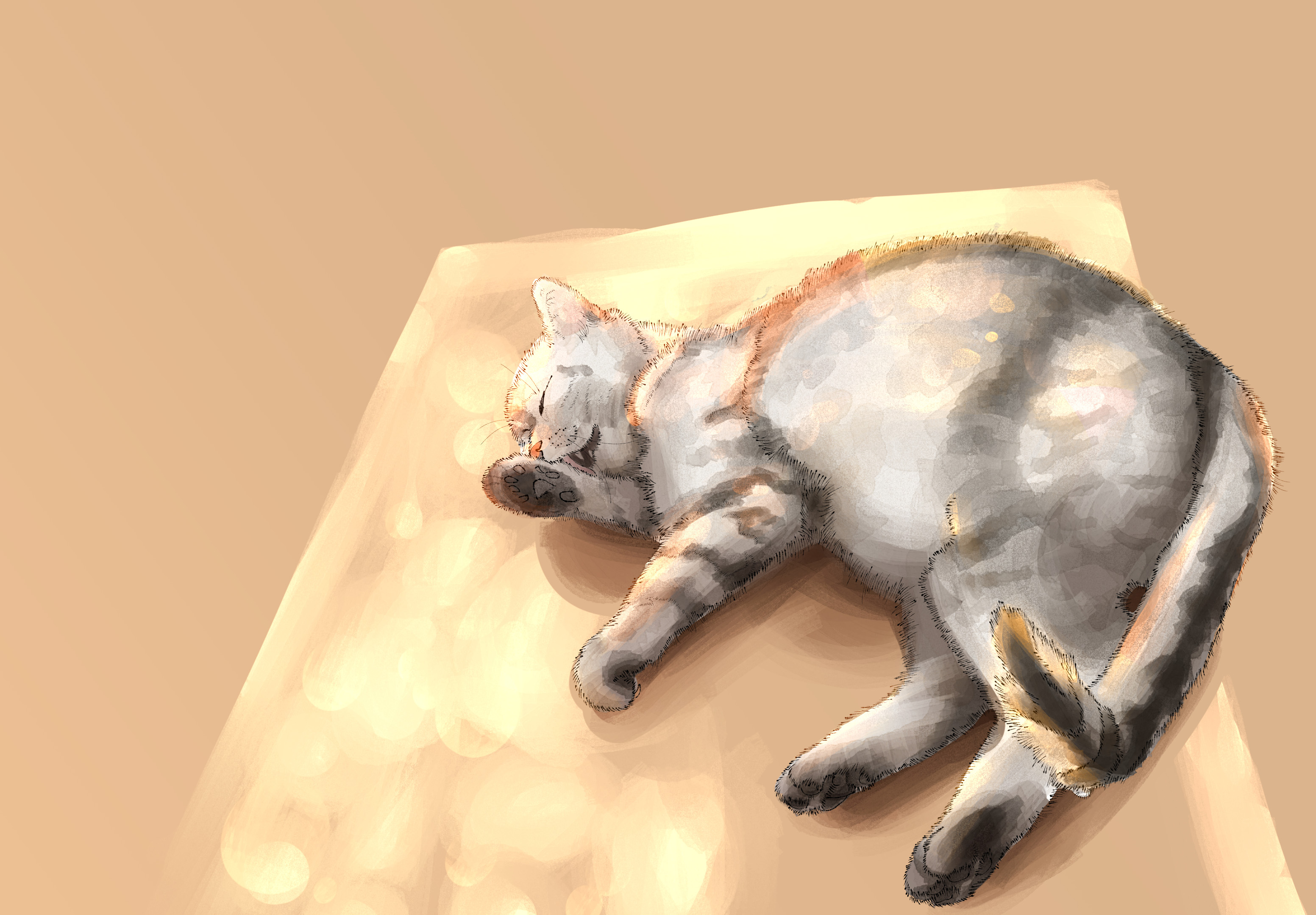 NEIGHBOURHODO CAT