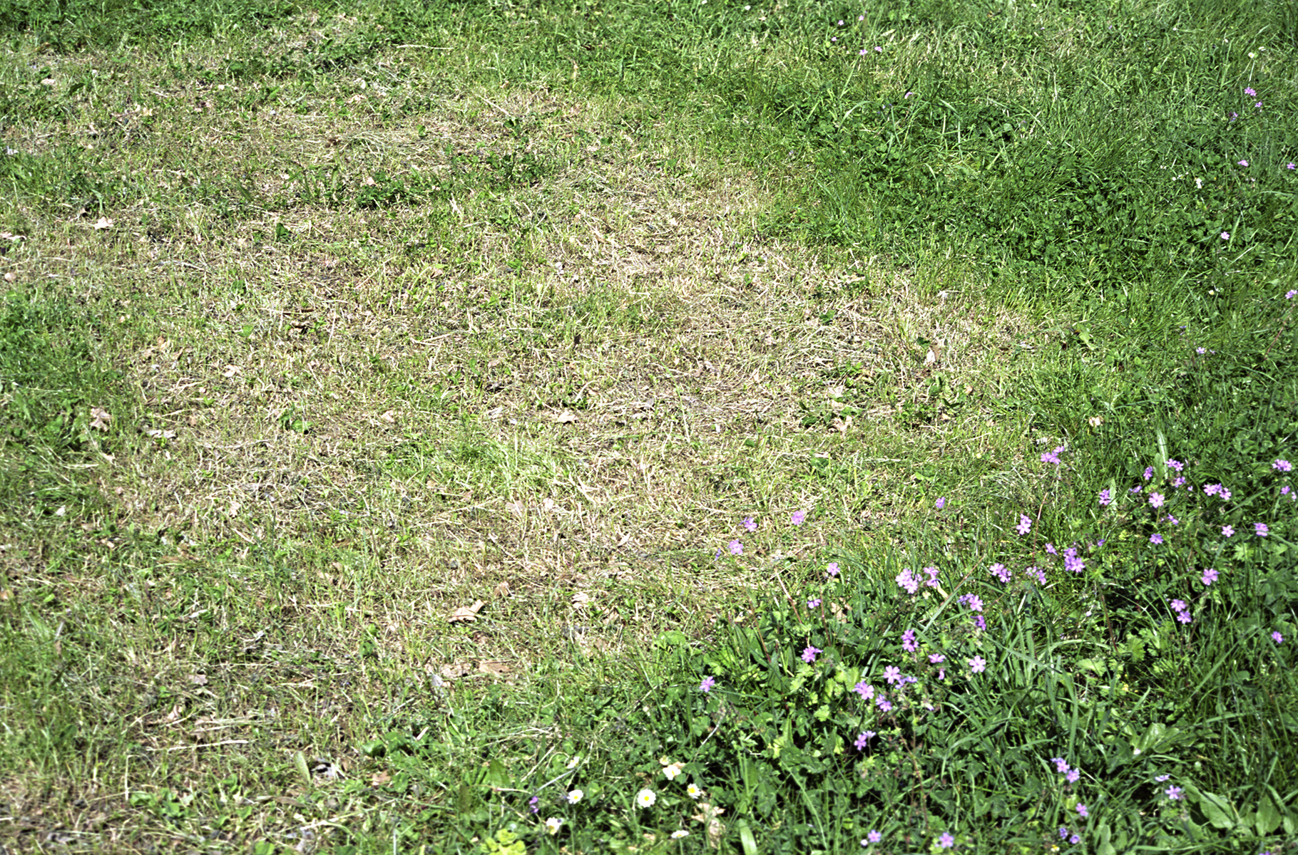 Journey through Albania 2015