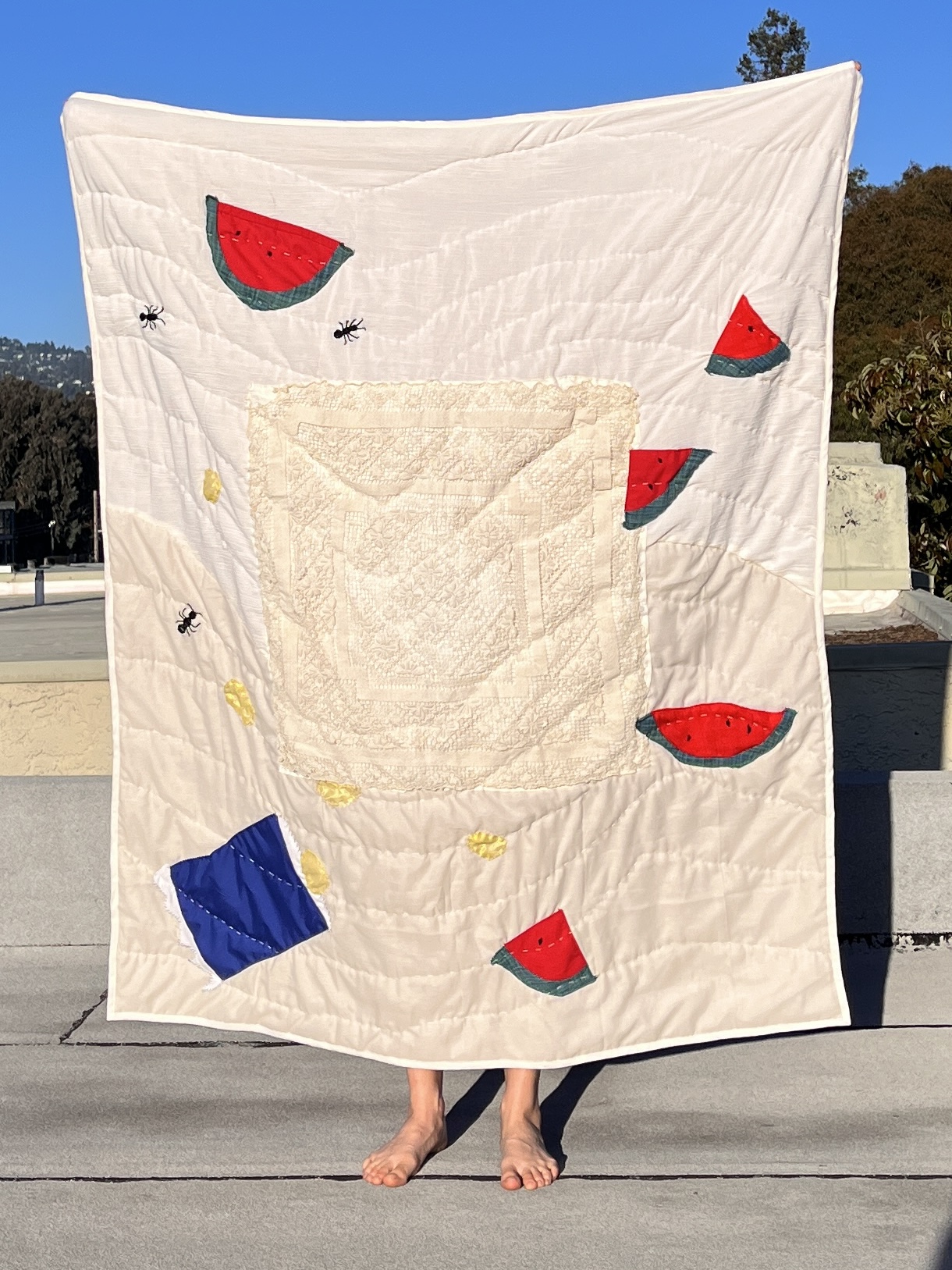 Picnic quilt, 2024, cotton and applique, 66"x48"