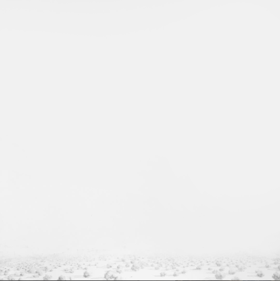 marathon | graphite on paper | 40 x 42 inches