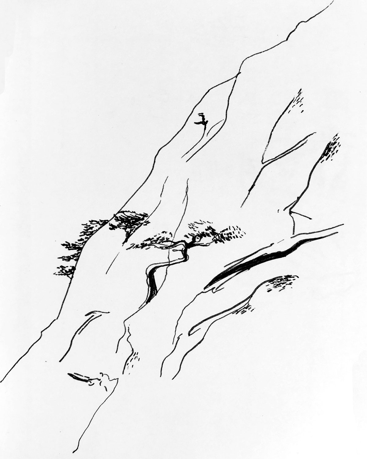 Korean Mountain Side - Ink on paper 50x65 cm