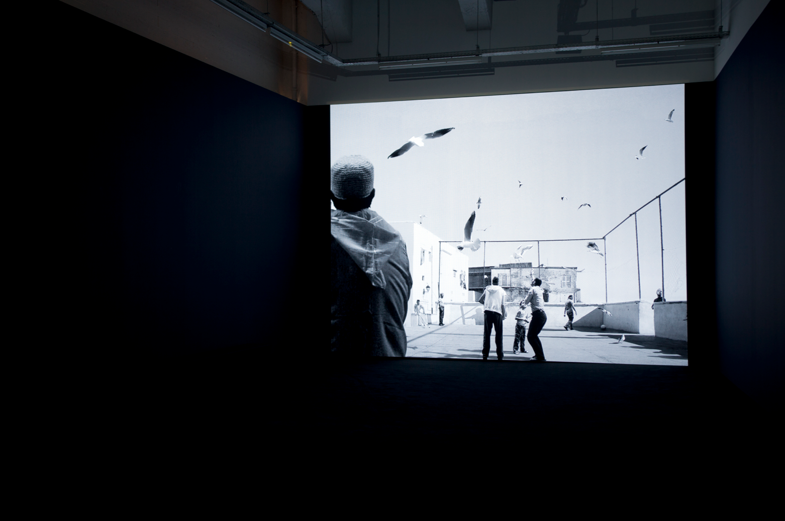  all photos Jef Jacobs