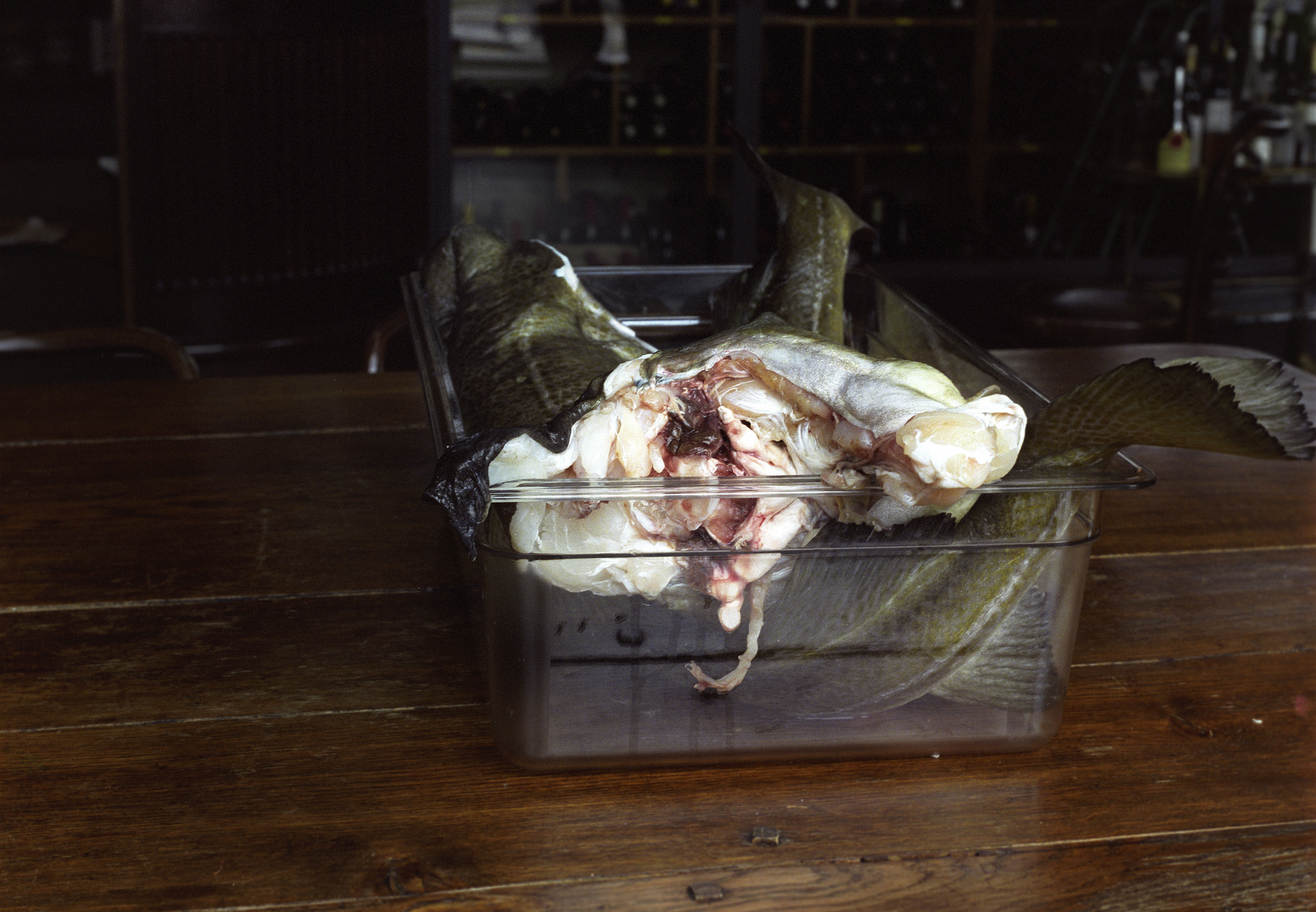 Still life, fish, 2015