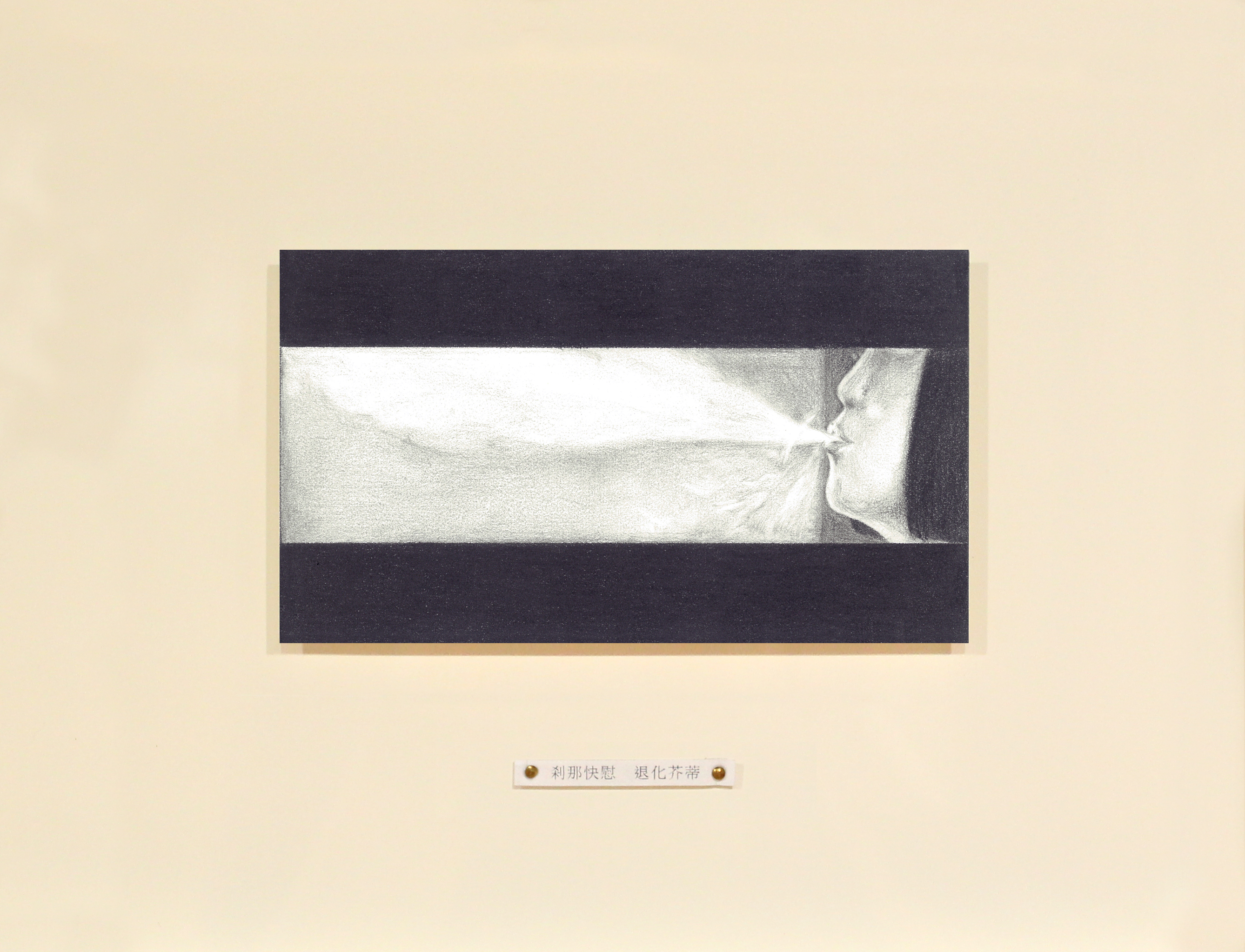 (Ephemeral Happiness) 《剎那快慰》