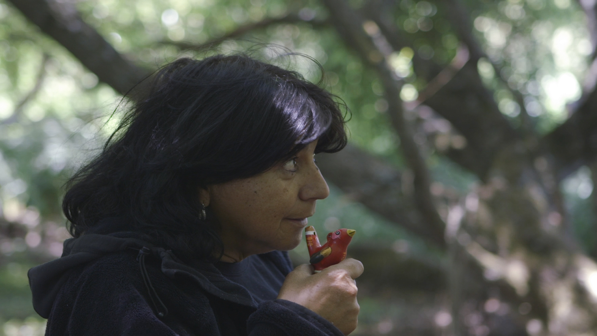 2021, Humo sobre los humedales. Video, approx. 90min. Film still. © Barbara Marcel