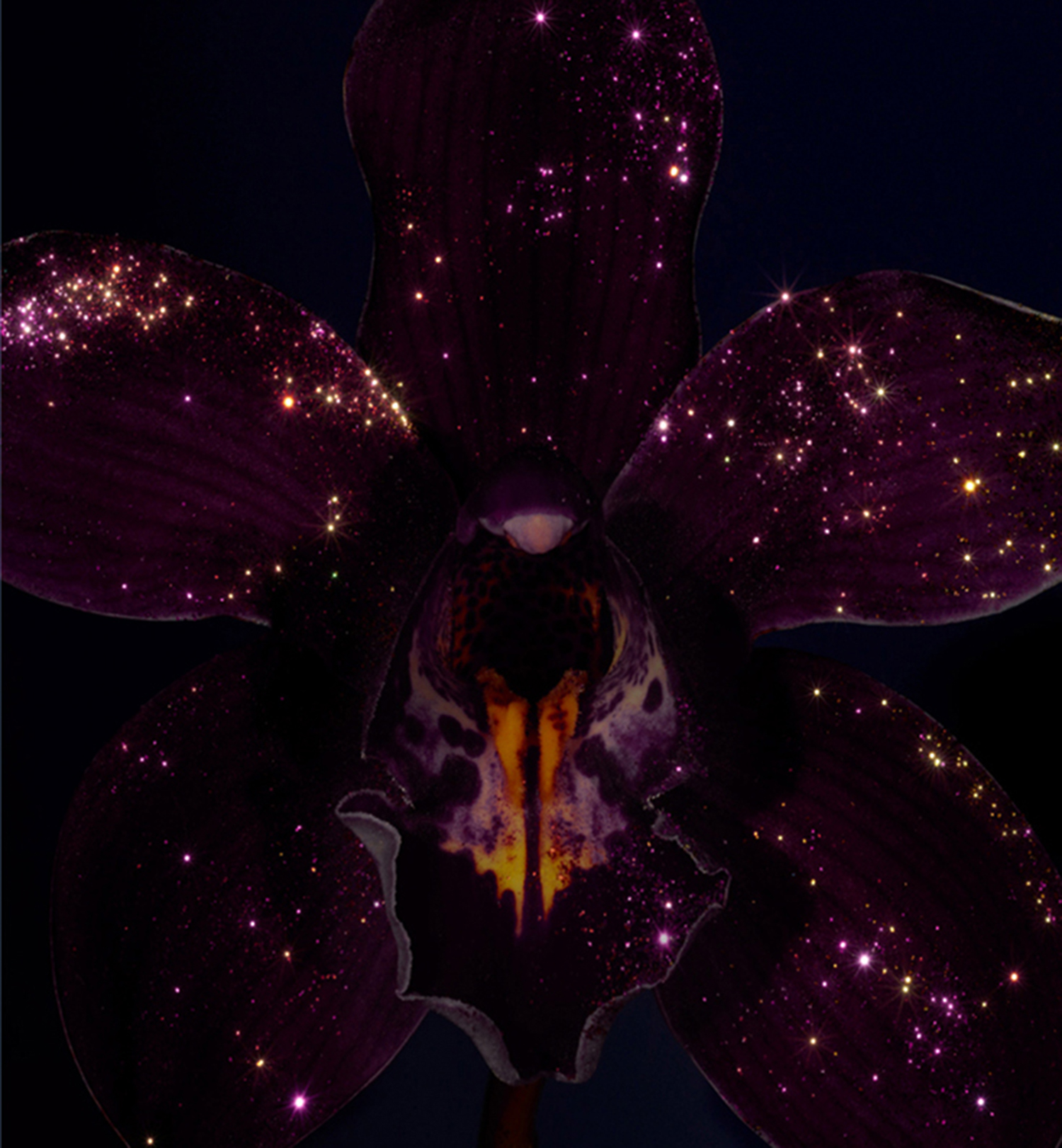 KMA stylist Sara Wacksman designs set for abstract photo of glittery purple wings for Vogue