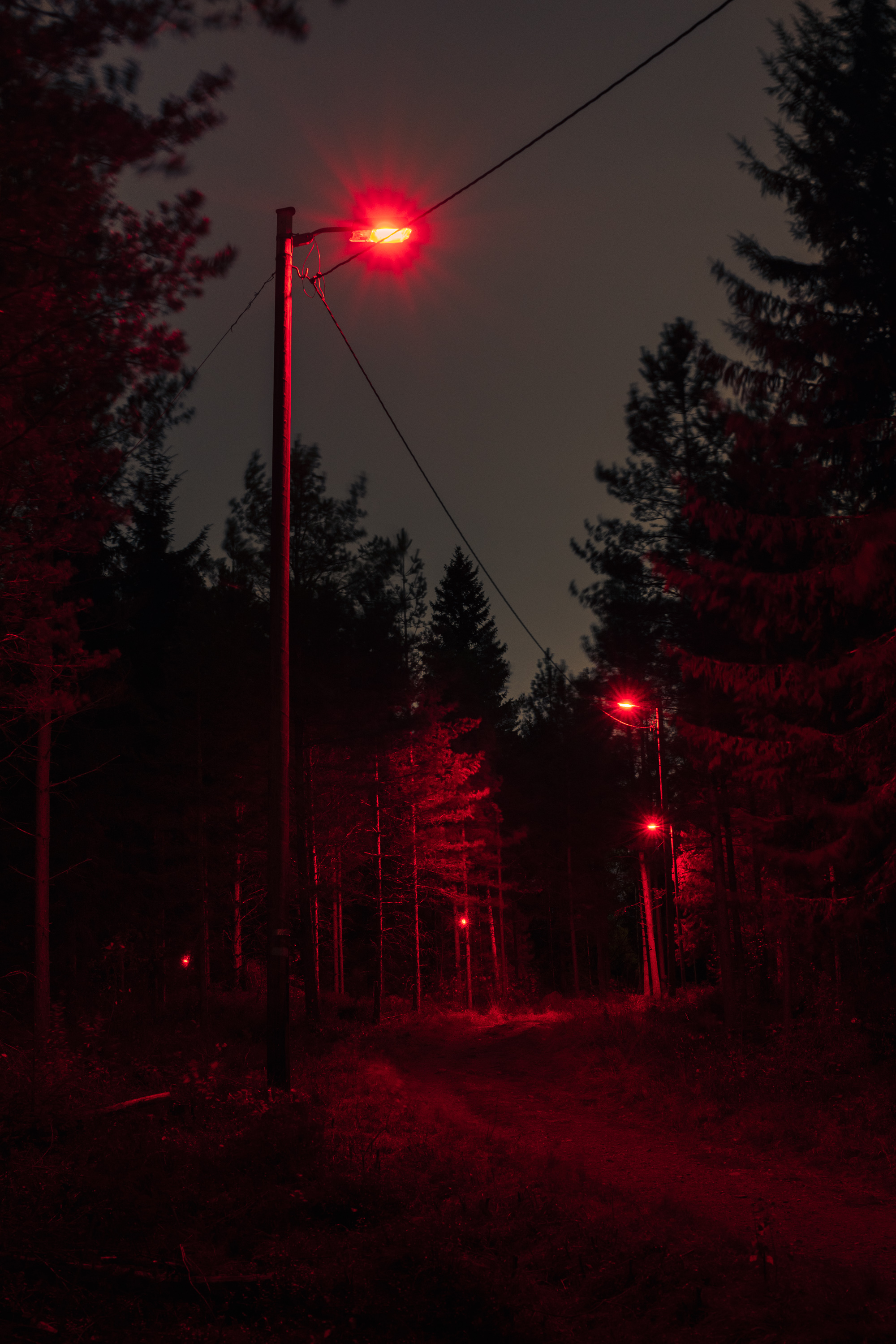 Light installation ("lysløypa" / floodlit ski trail intervention)