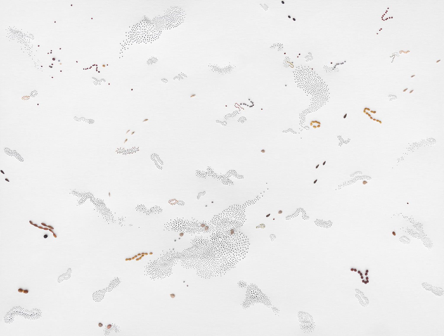 Myriades-#5,-2020,-manual-perforations,-watercolor,-seeds-and-varnish-on-paper,-26.5-cm-x-34.5