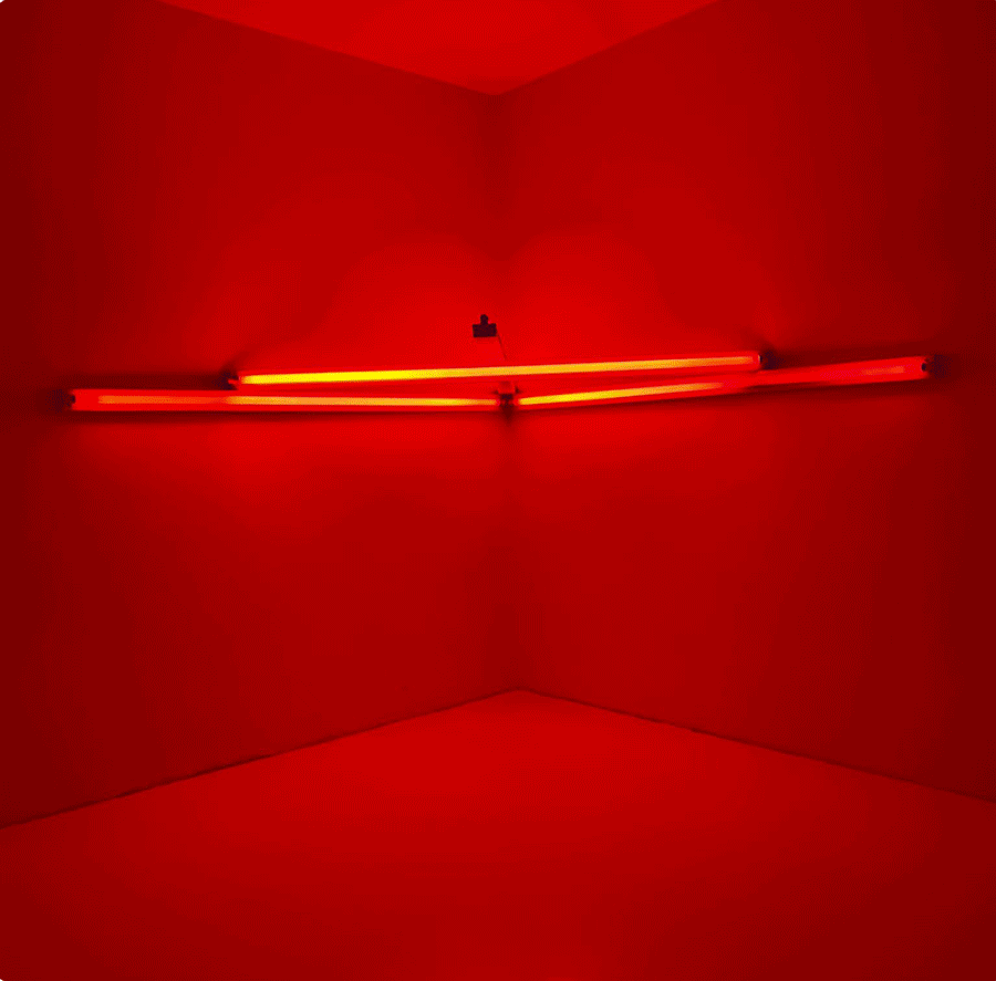 Dan Flavin and James Turell