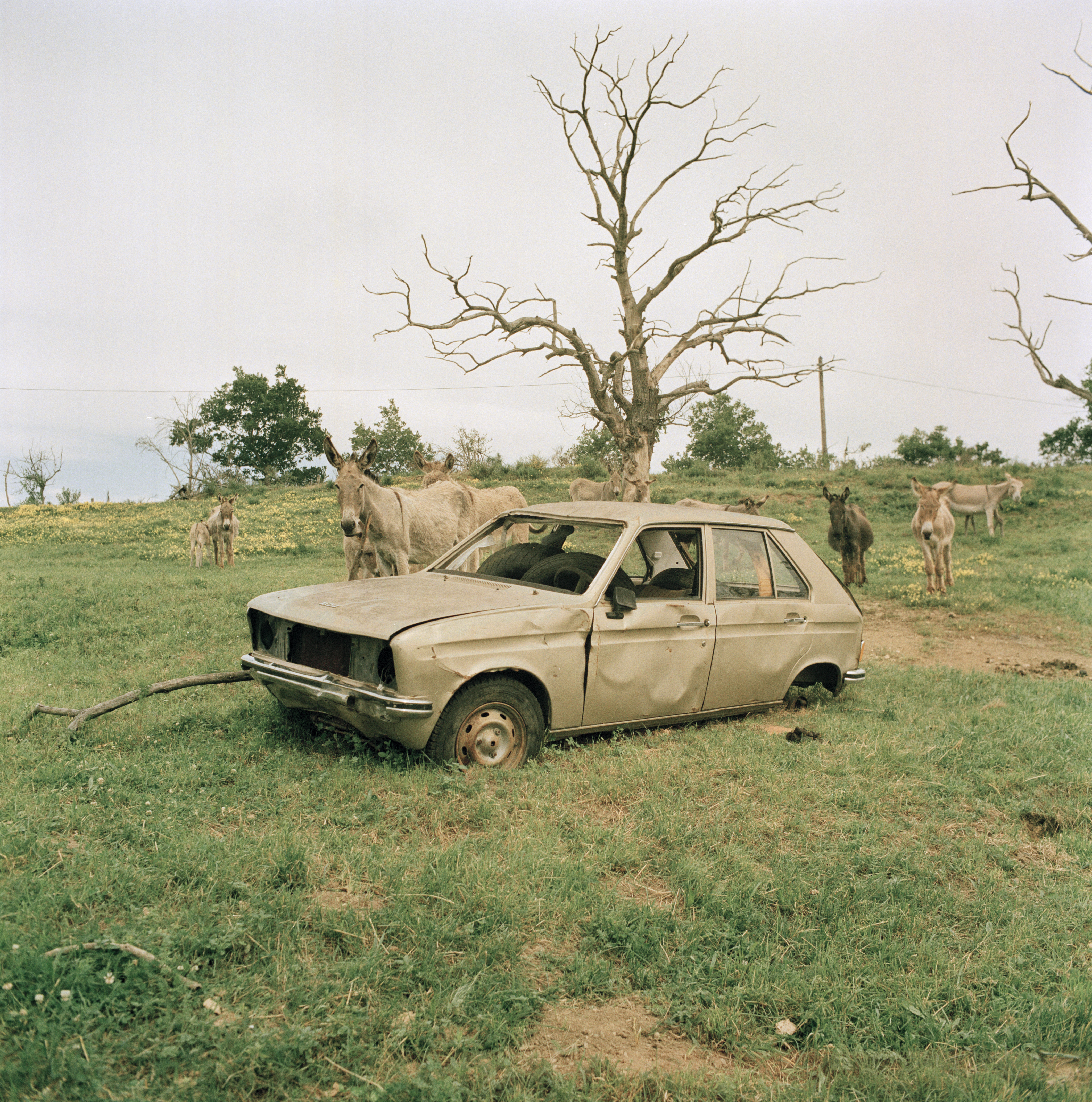 Peugeot 104 -  Vazeilles (France) 2013