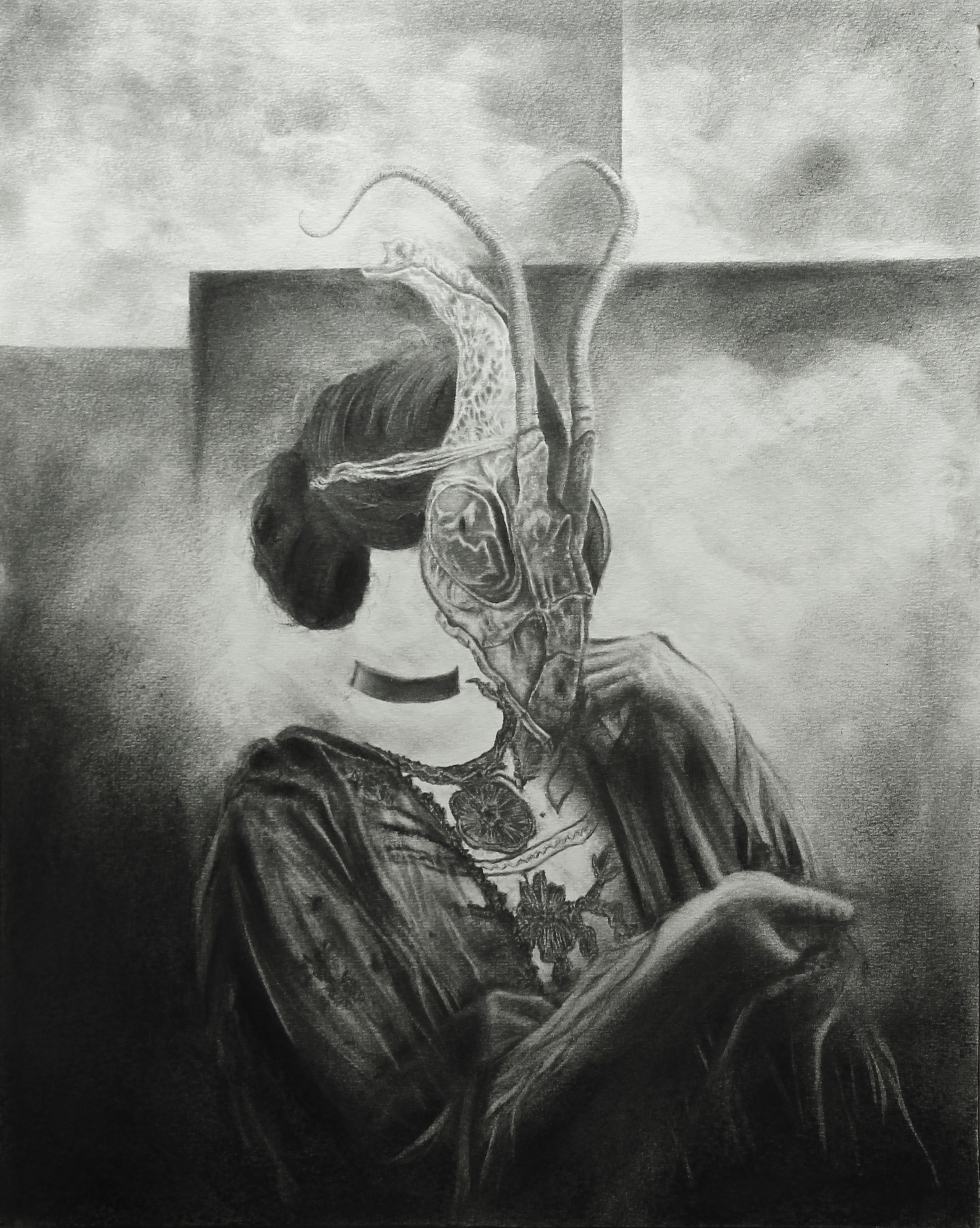 Specimen VIII. Graphite and Charcoal on archival paper, 51cm x 41cm, 2017