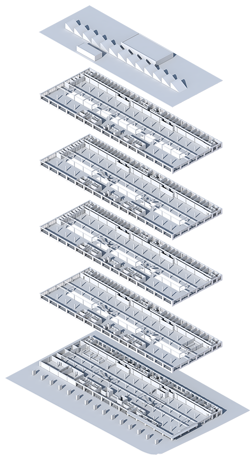 2 intermediate status