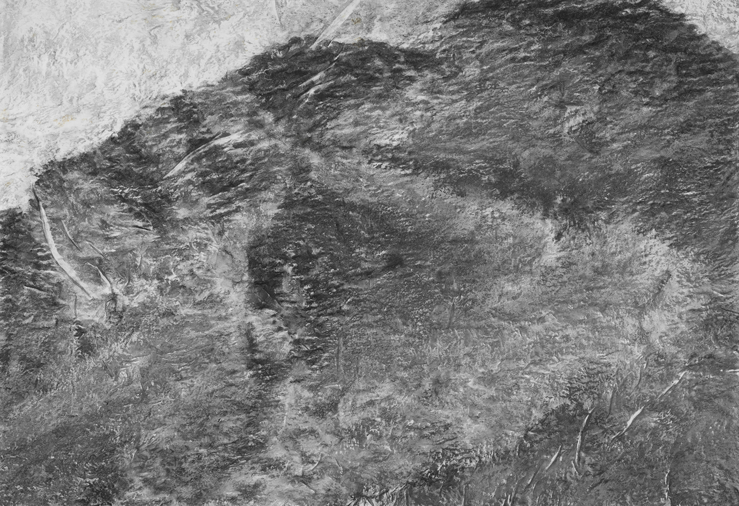 Mont analogue (XXIV) [Analogous Mount(XXIV)]Indian ink and methylcellulose on canvas140 x 200 cm, 2024