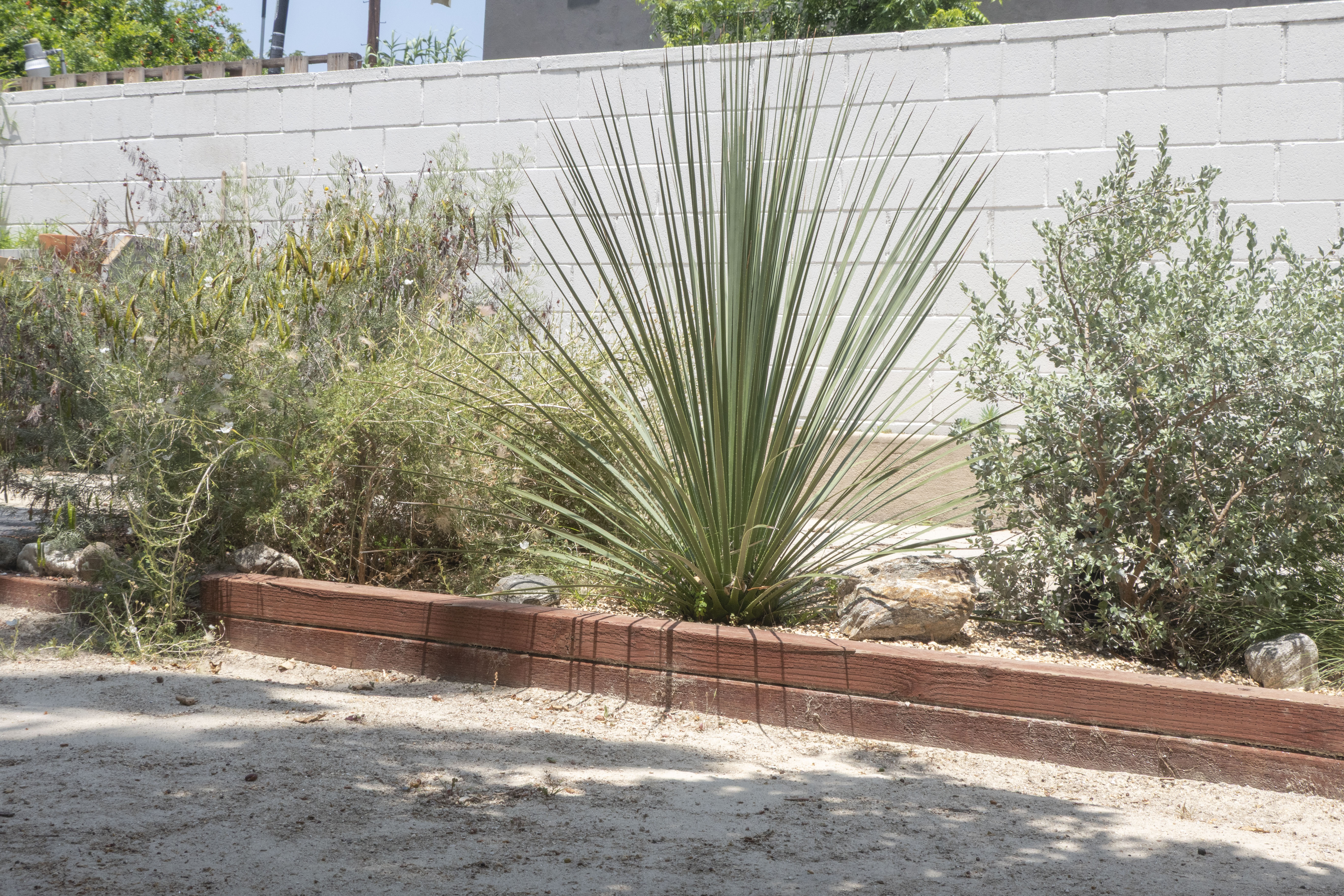 1307 Garden Installation, 2020