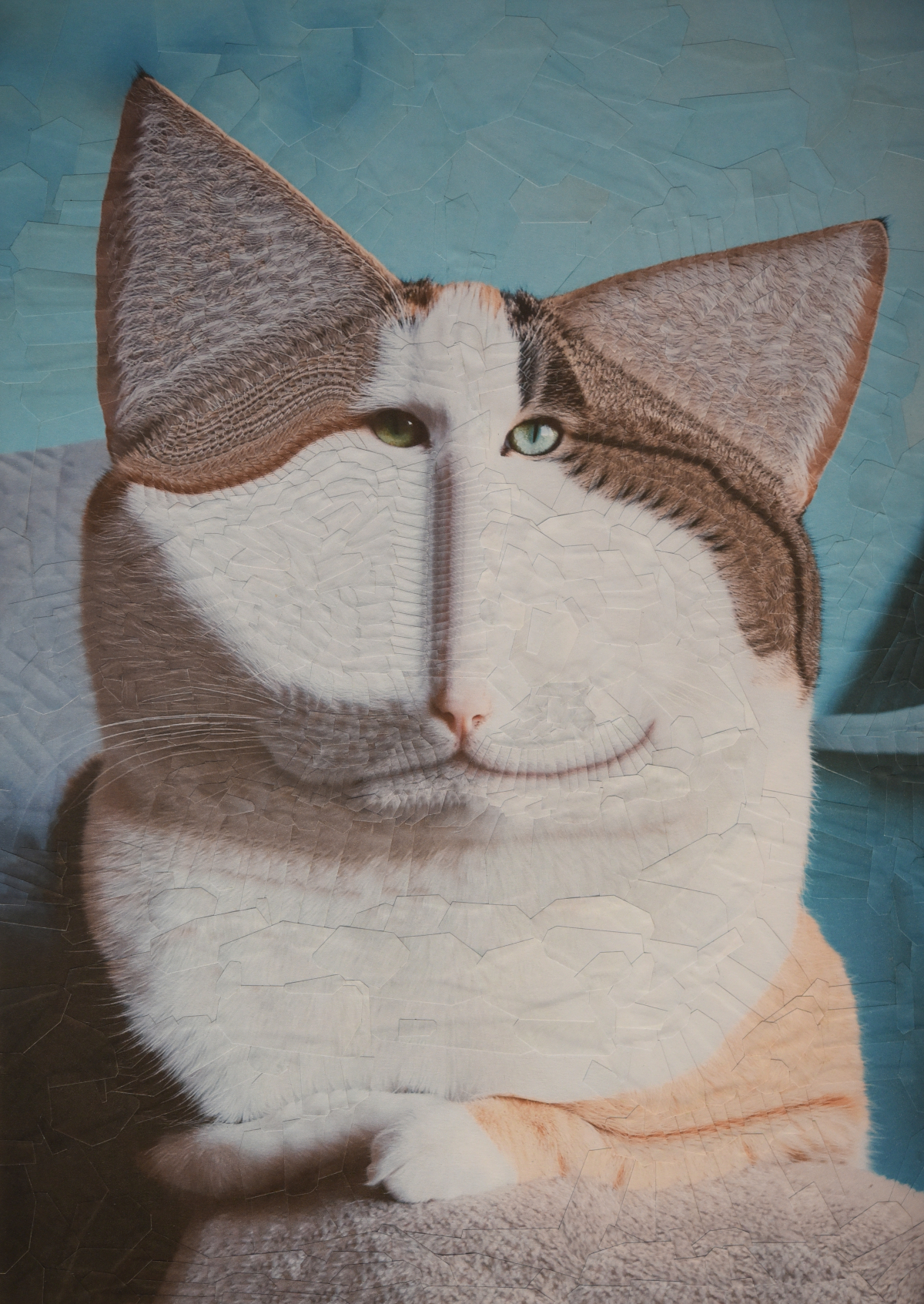 Nibbles, 2019, 8.2 x 11.6 inches