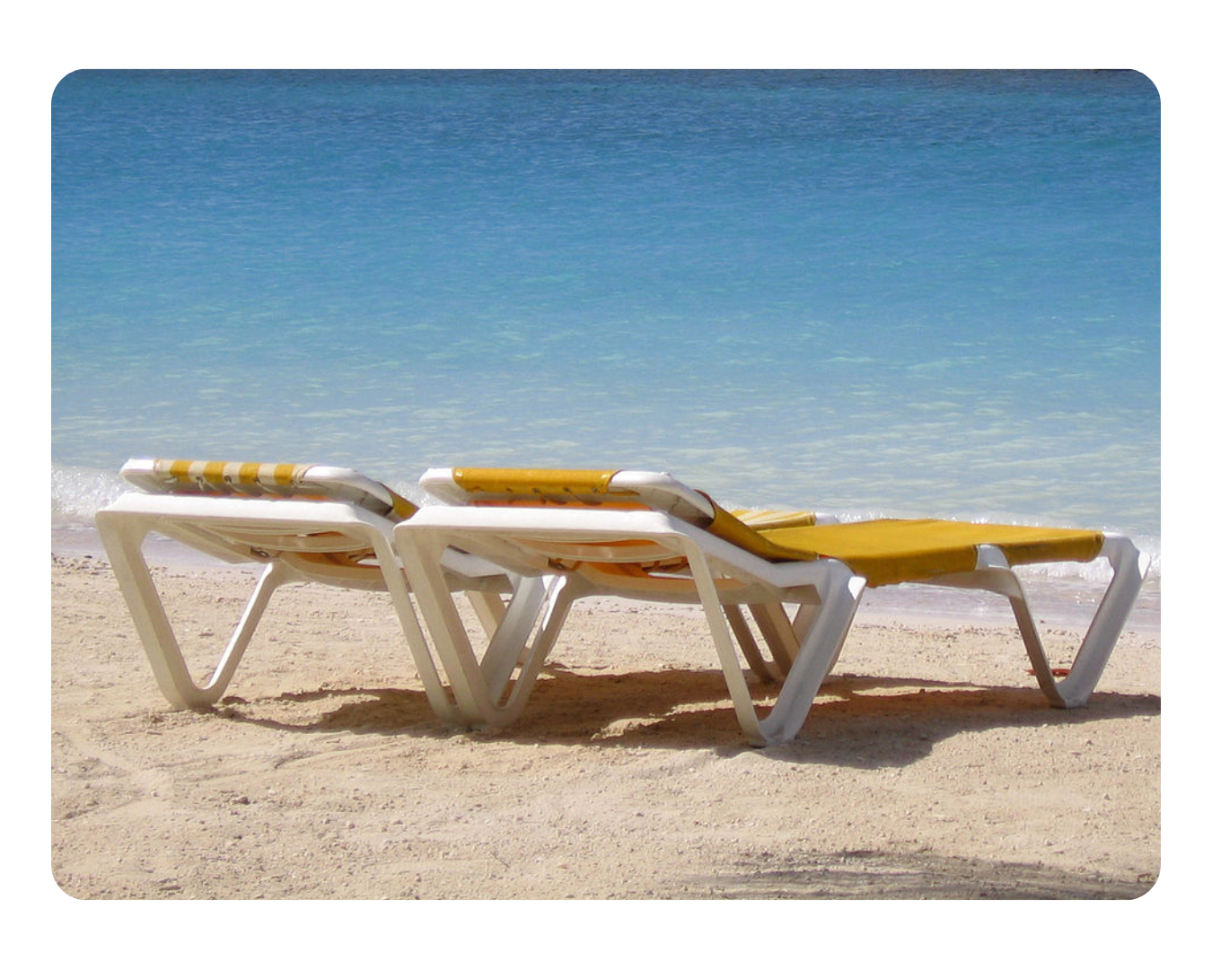 ☀️Aesthetics-of-Disaster🌊.txt