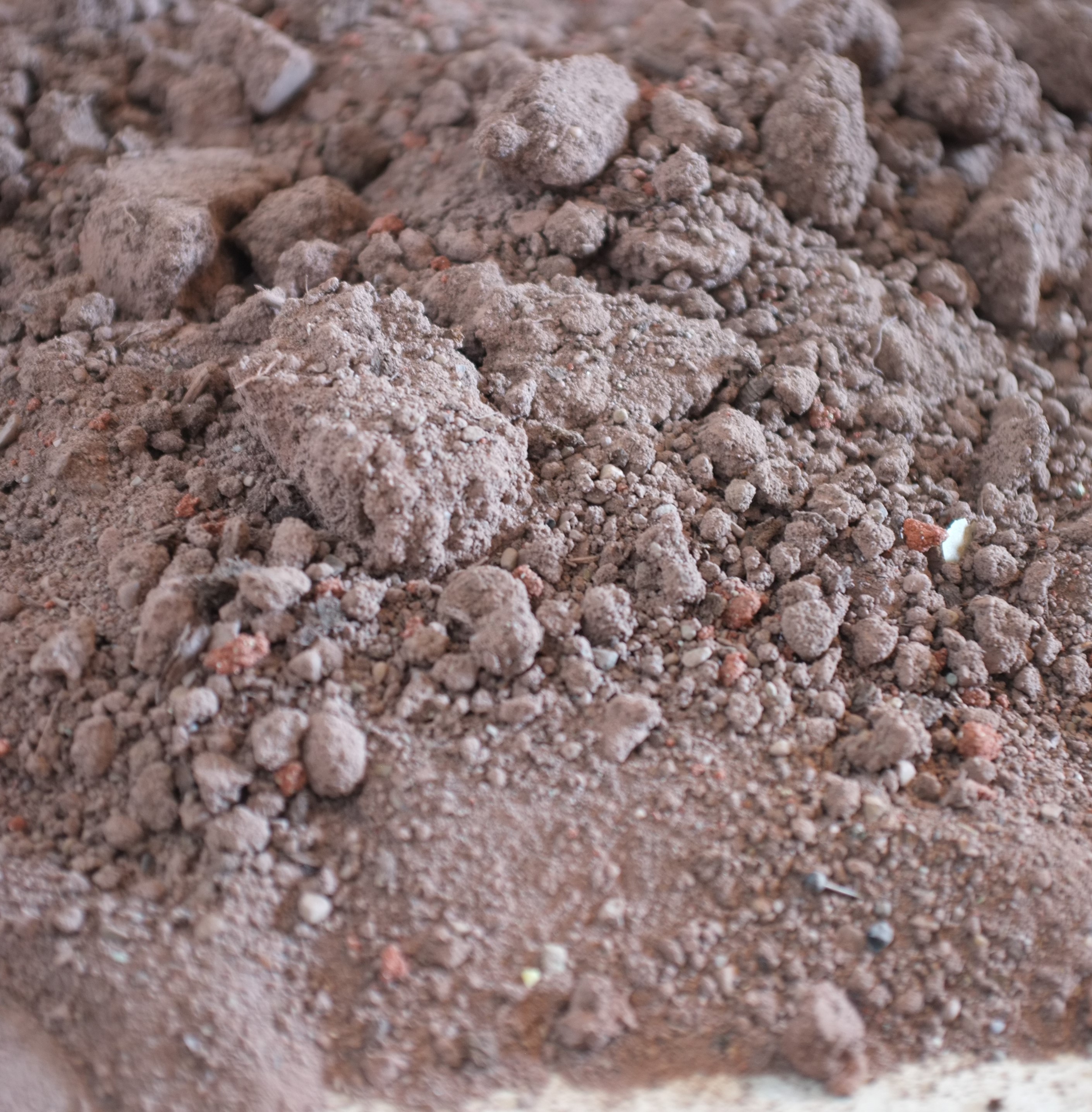 Monument to Everyday Labor