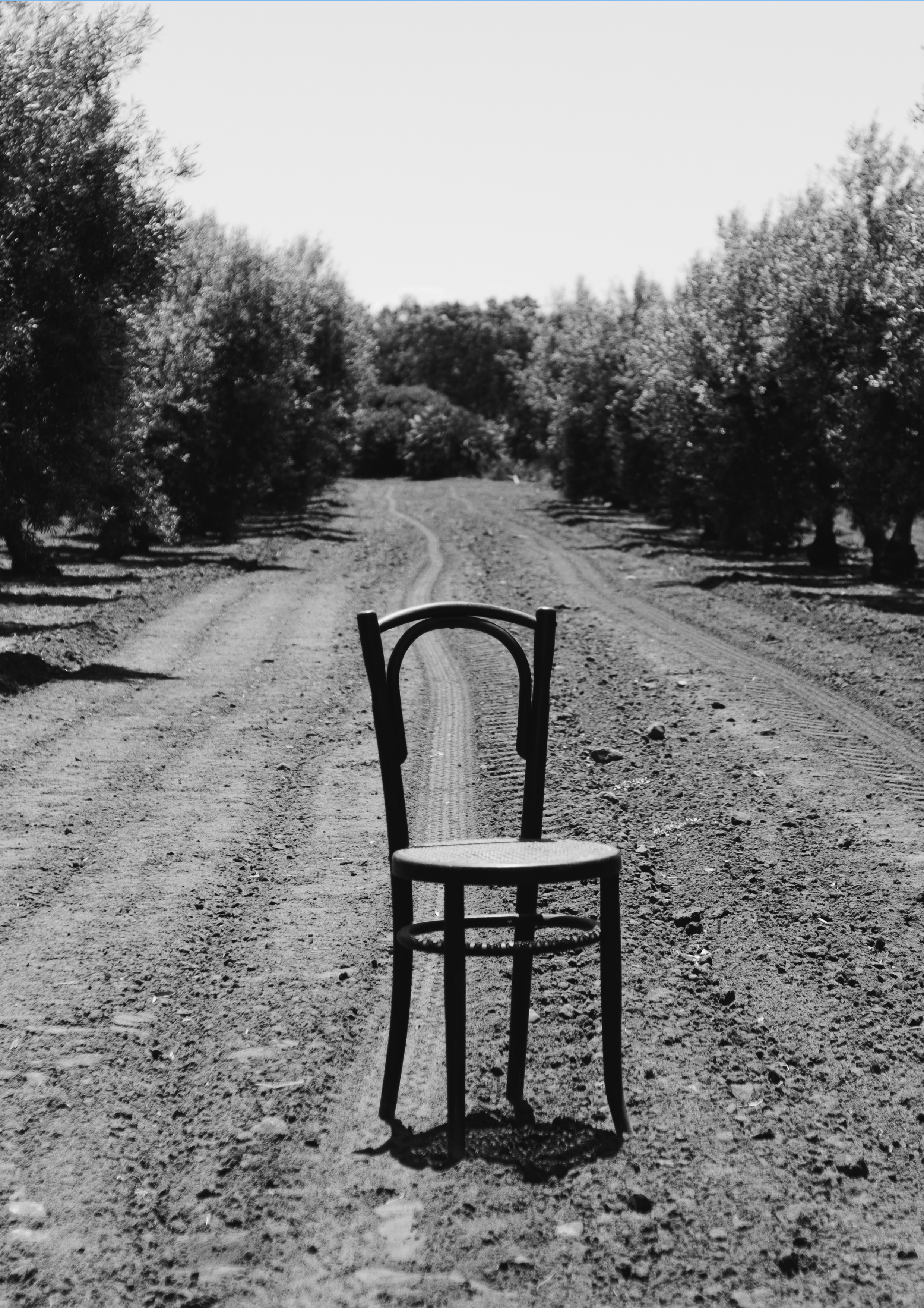  Colección A su amor -TFG   