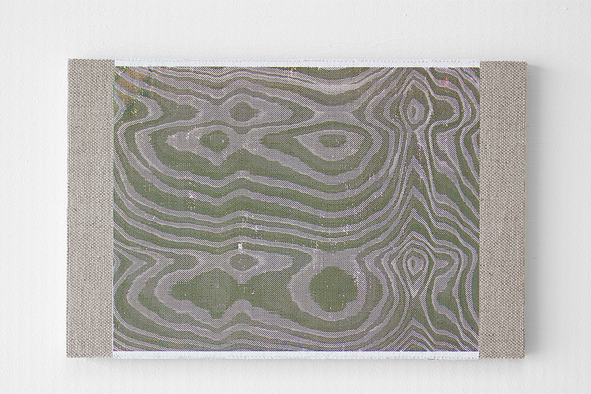 Duplexed Crop, 2013, silkscreen ink and acrylic on linen mounted to panel, 17 x 11 inches