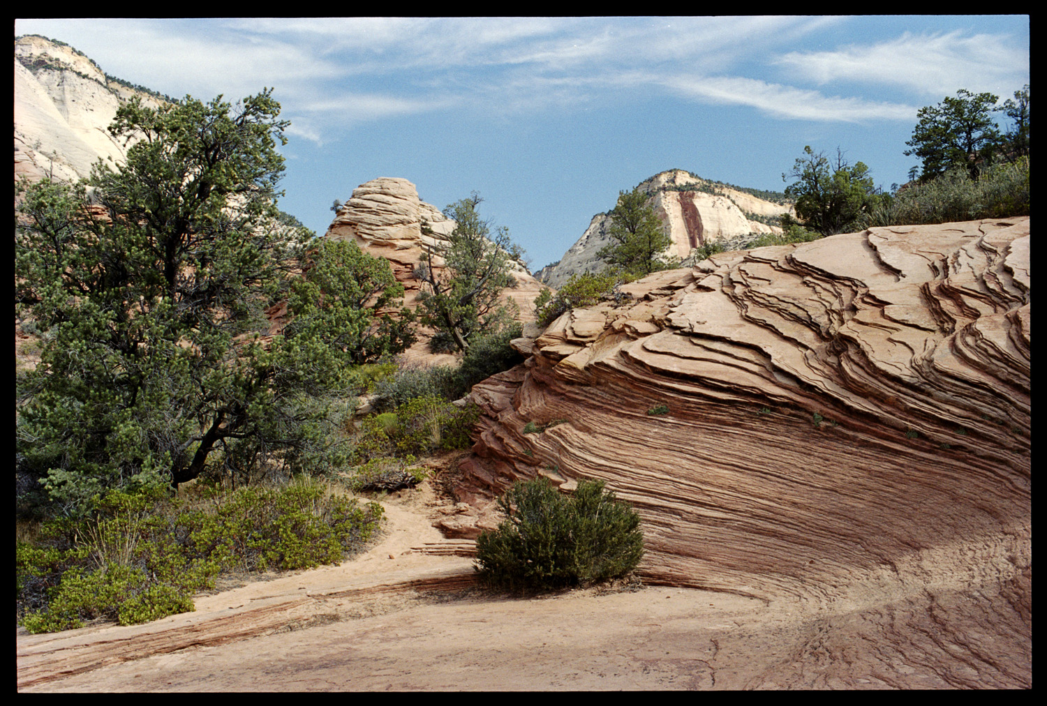 2005 Zion