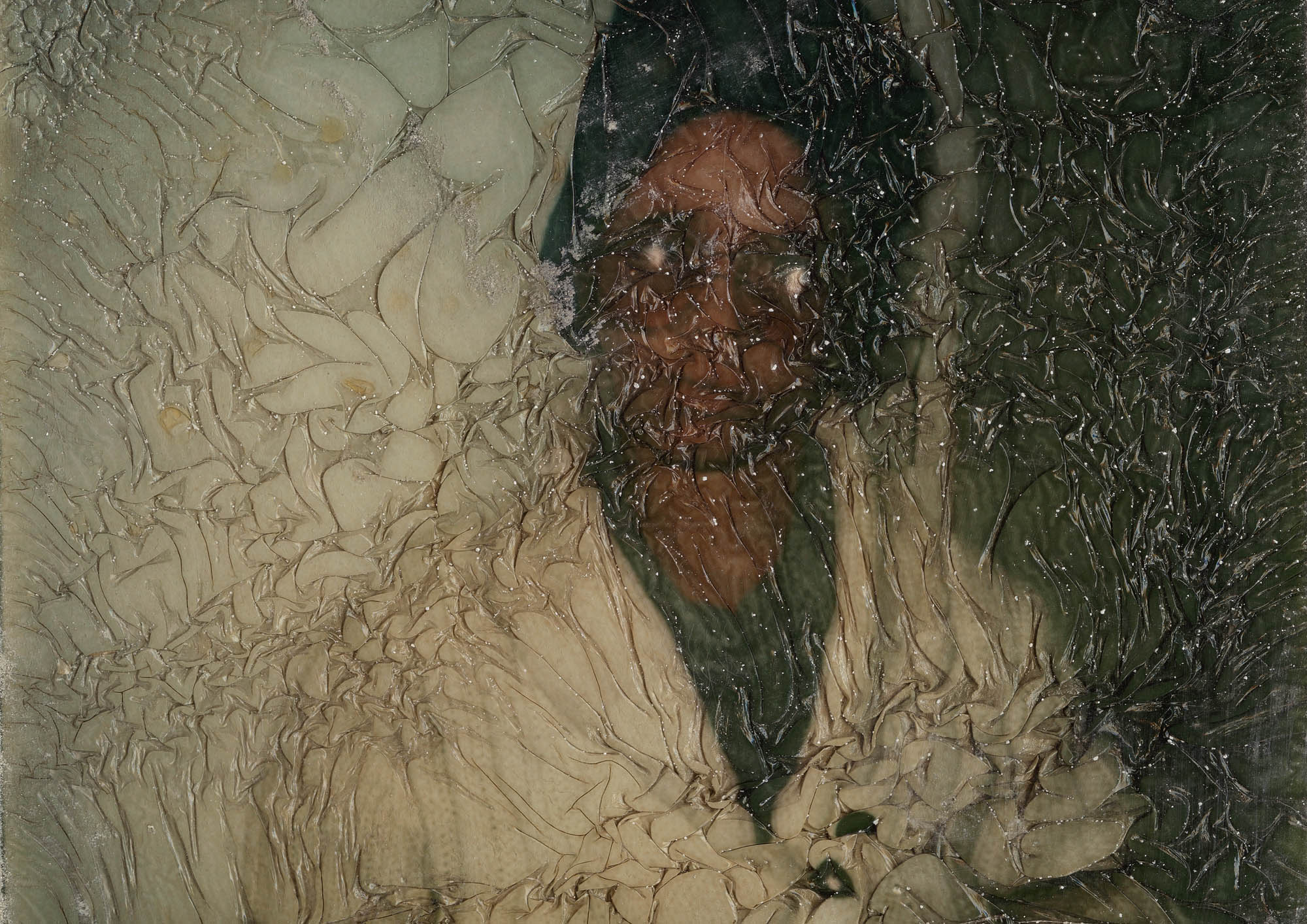 Polaroid, Found Photos In Detroit, 2011 (110x165cm)Ed.3