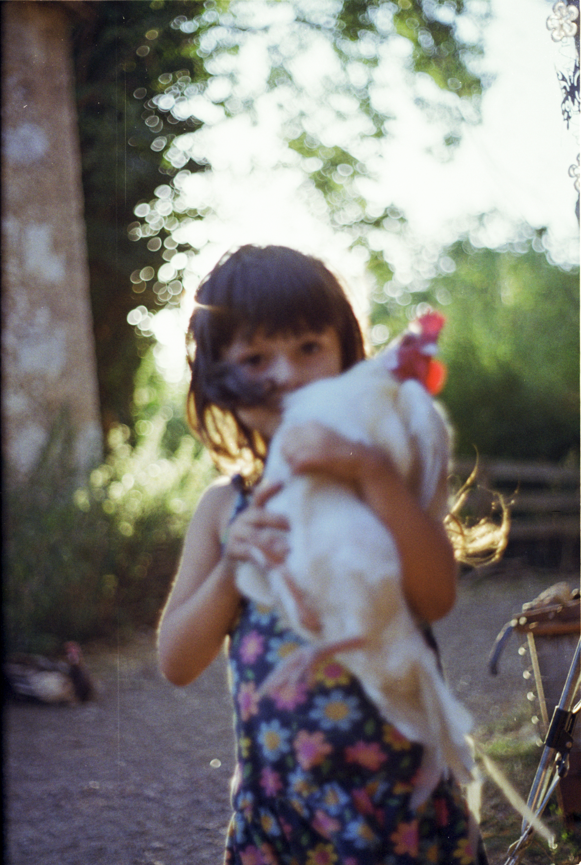 Animal Salvatge / Short Film