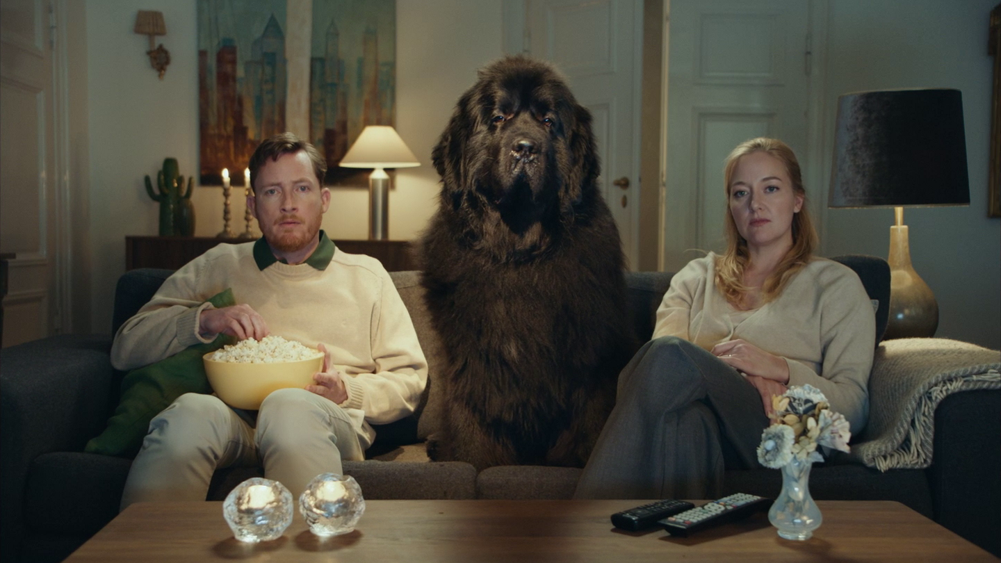 Dogcation SPIES, 2018