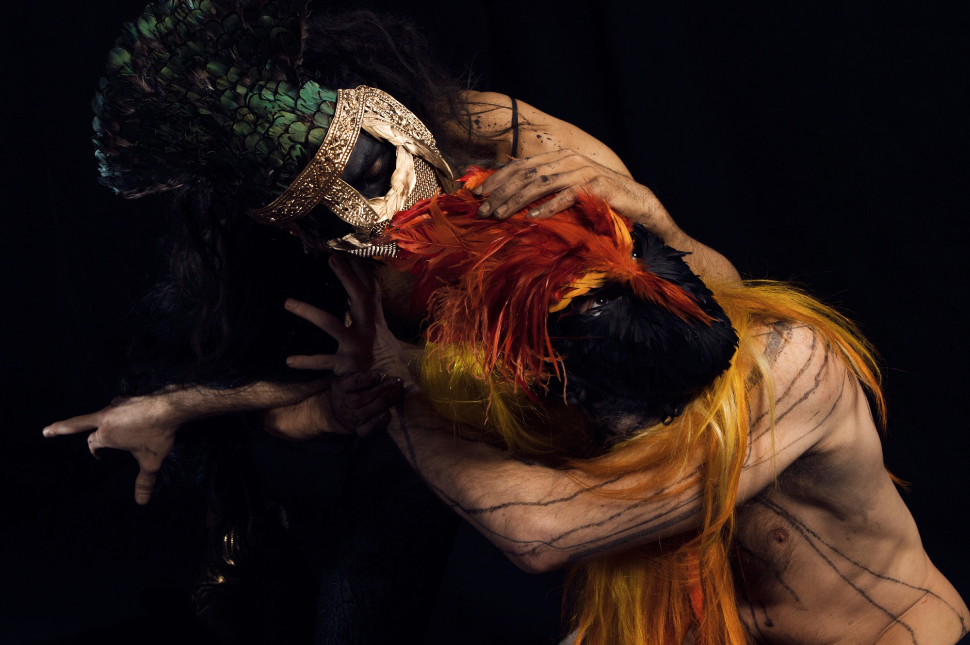 Conference of Birds poster, 2017