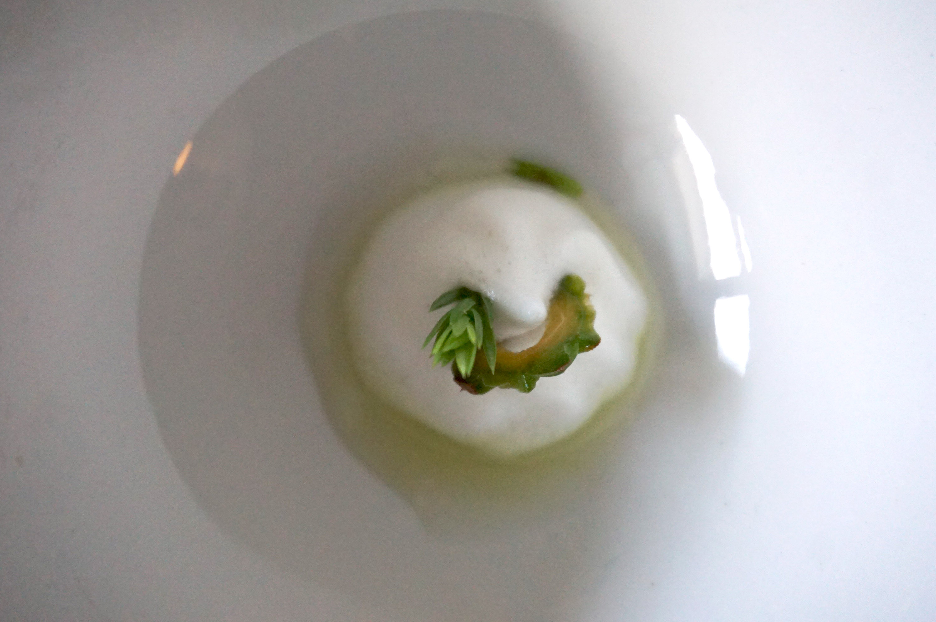 A taste of the cultural underwood: dessert exploration for SanBrite restaurant in Cortina d'Ampezzo.
