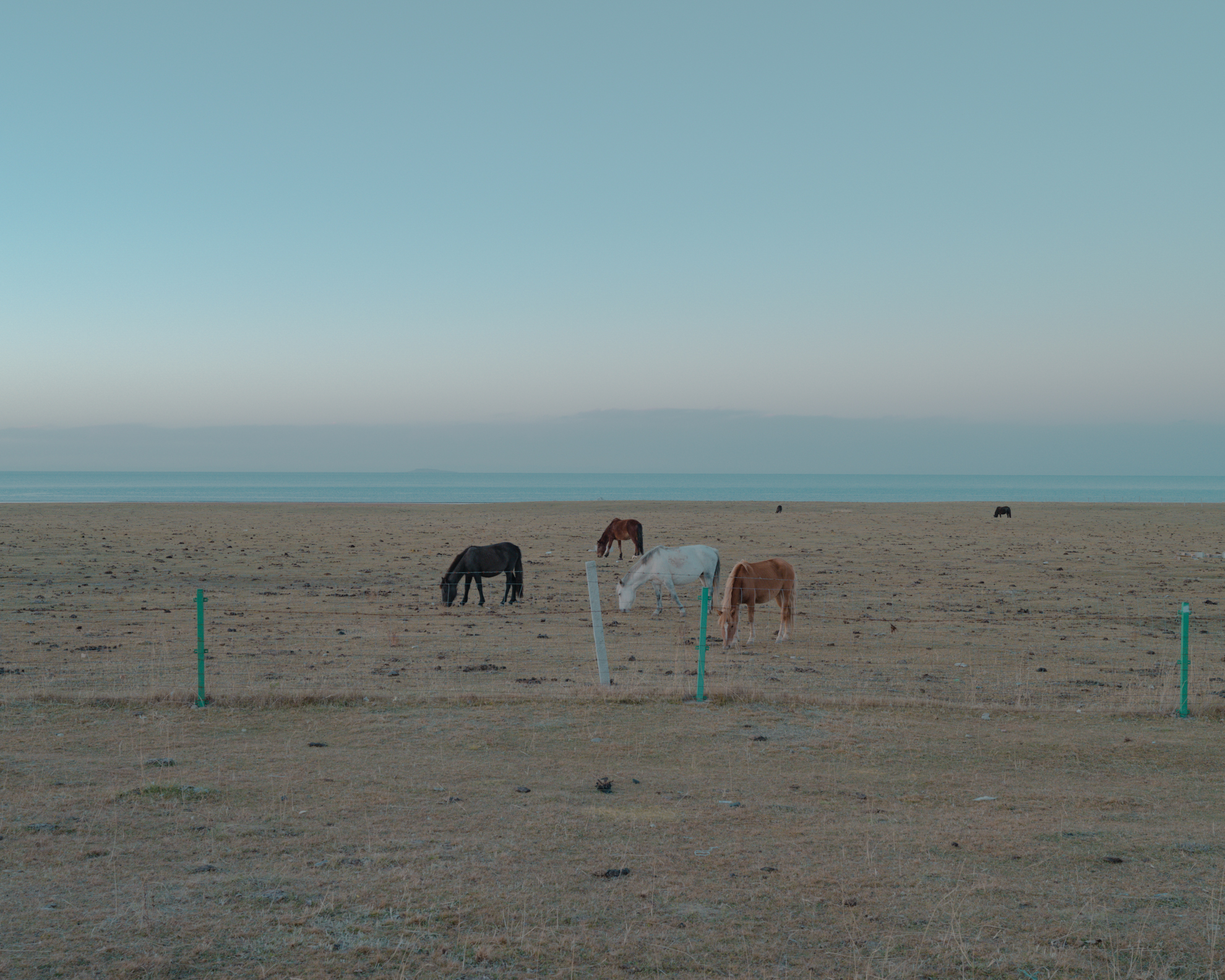 Tenderness in the vastness, 2021