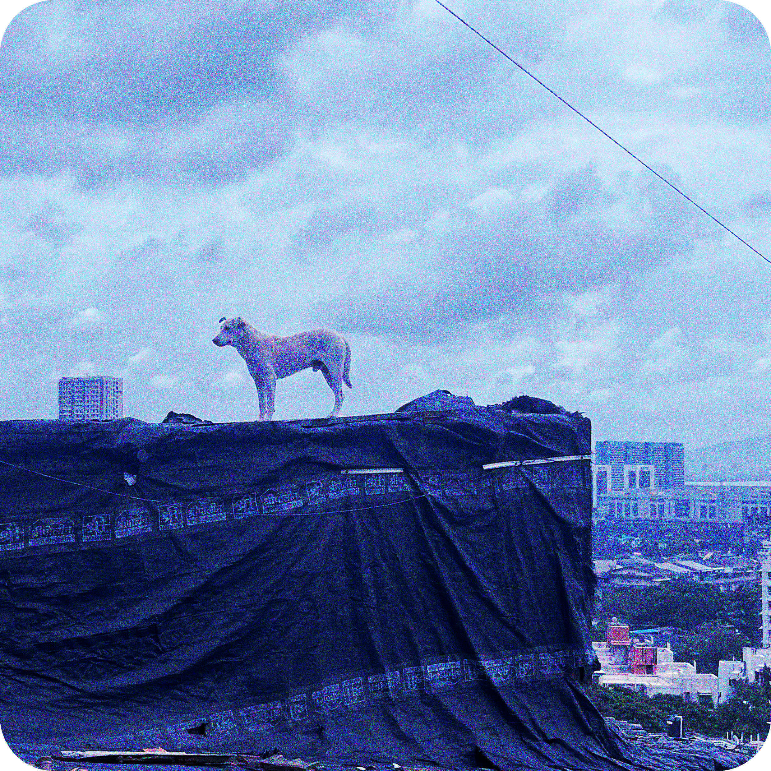 Urbanisation and Storytelling