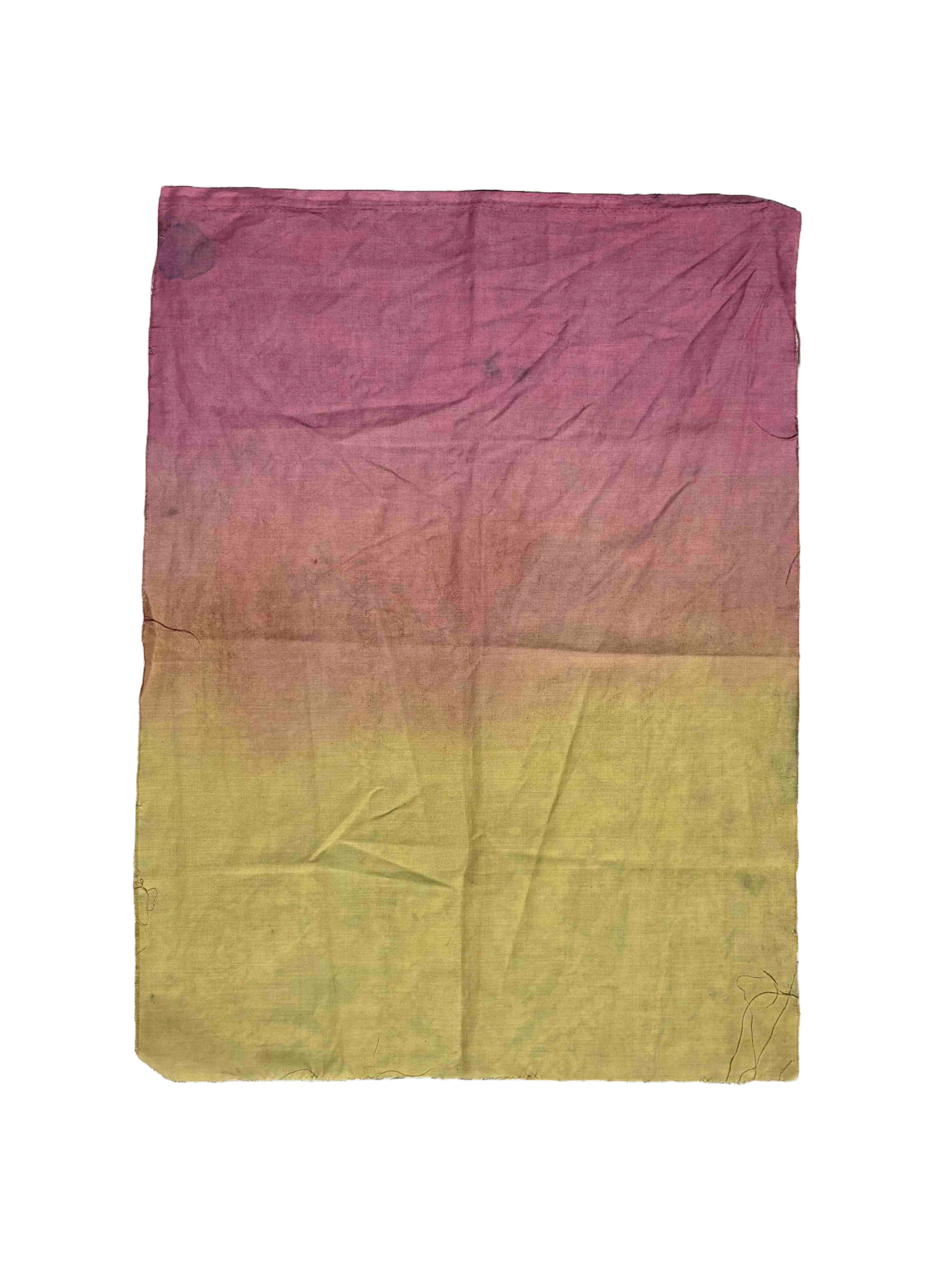 cotton in golden rod and cochineal