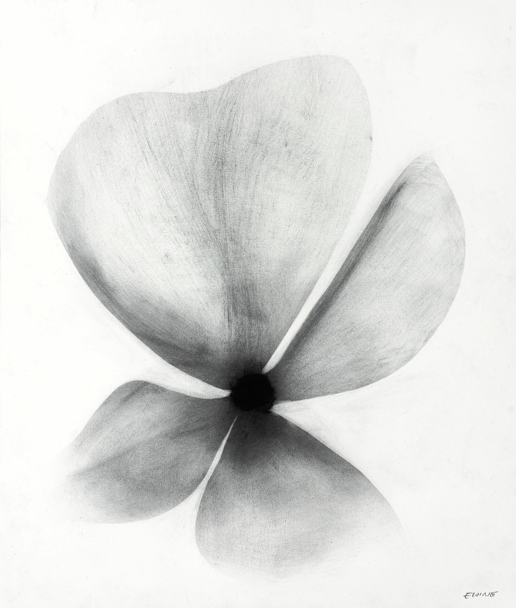 № 45 - 11 x 13" - $550