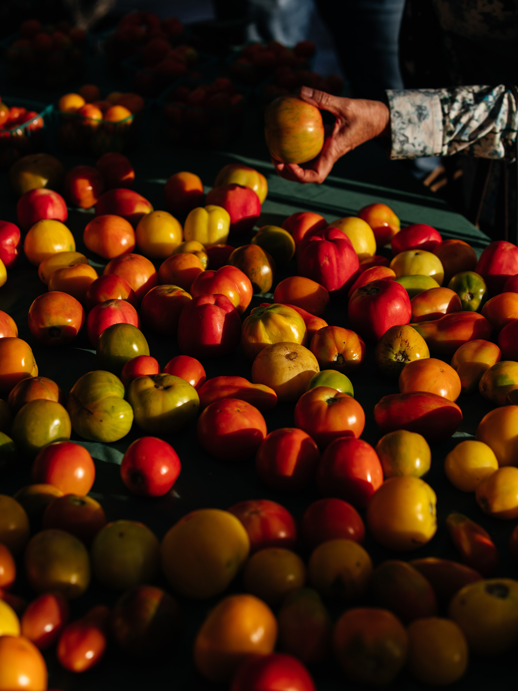 Union Square Greenmarket — The New Yorker, 2019