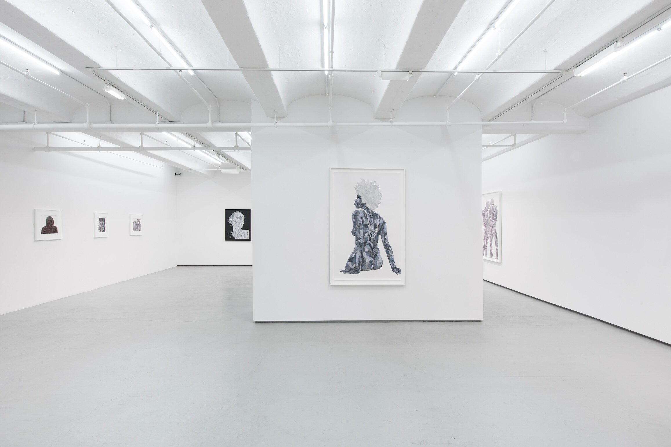 Toyin Ojih Odutola: Of Context and Without, installation view at Jack Shainman Gallery, 11 December 2015 — 30 January 2016. (Photo Courtesy of Jack Shainman Gallery)