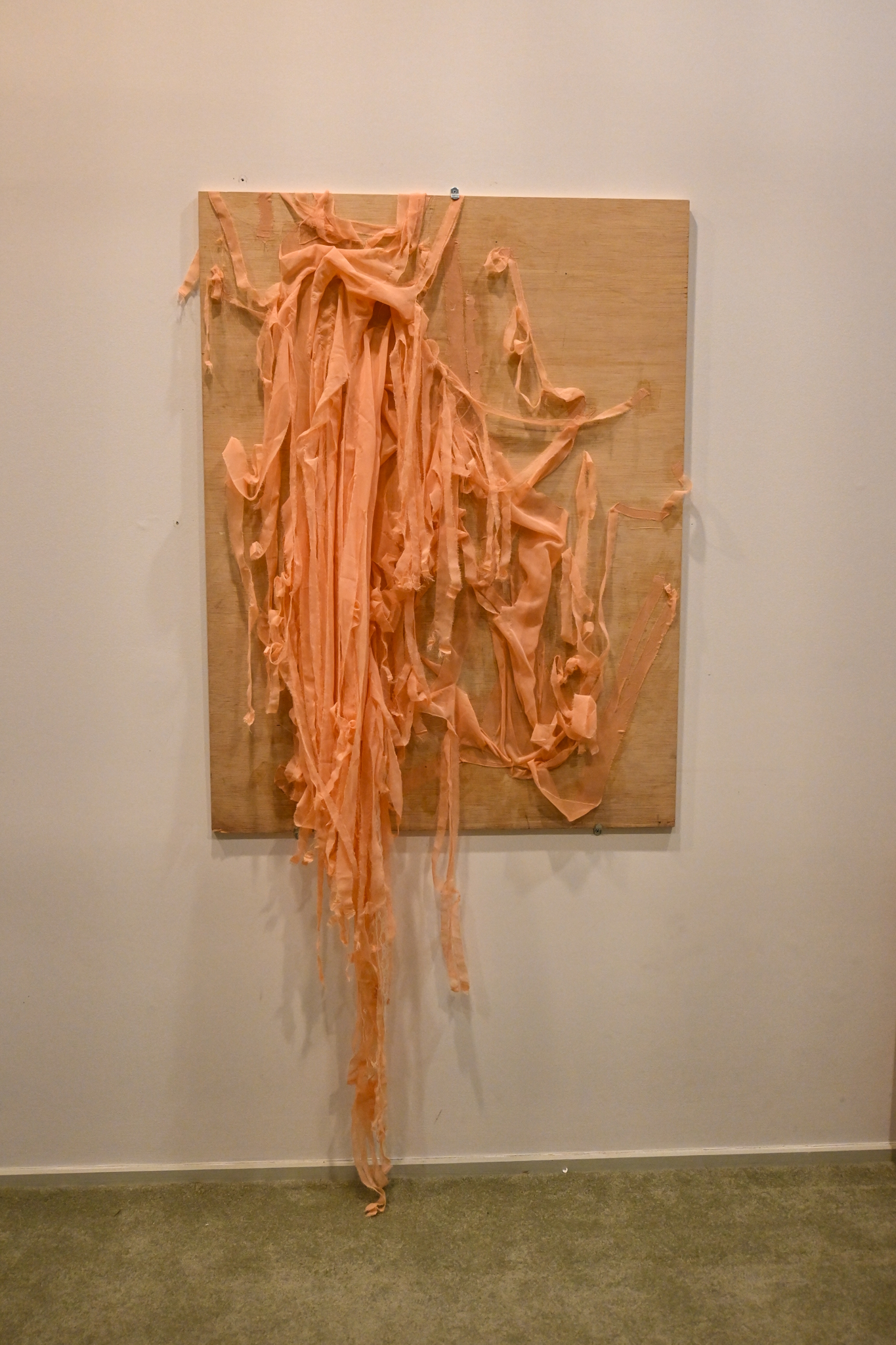 Bardo (2023) : chiffon, wheatpaste, wood, lace